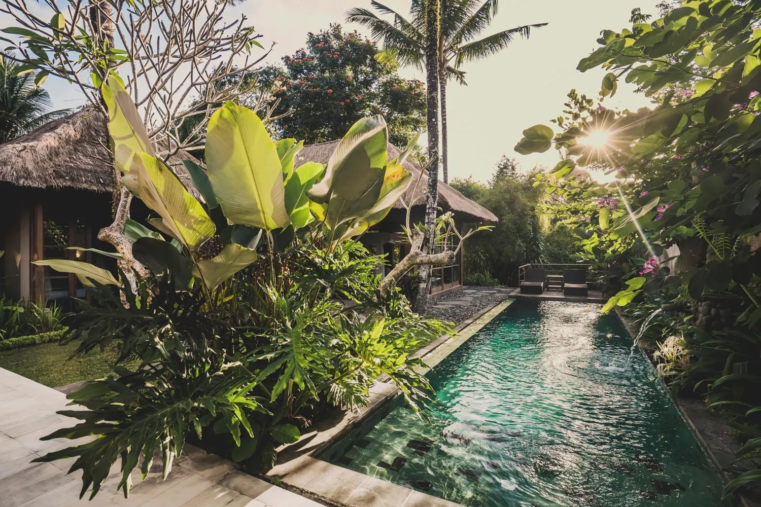 Swimming pool in Luwak Ubud Villa & Jungle Suite