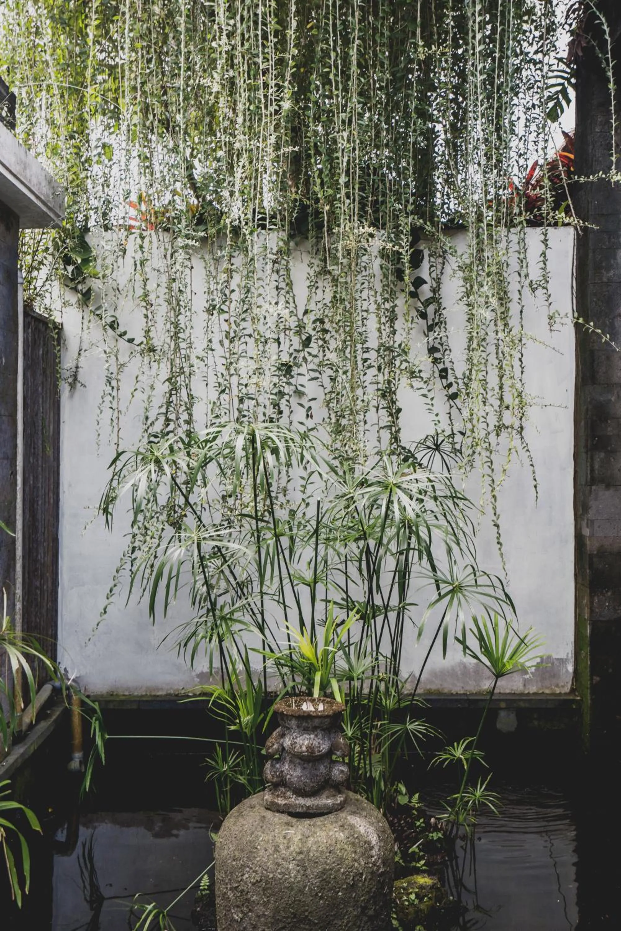 Garden in Luwak Ubud Villa & Jungle Suite