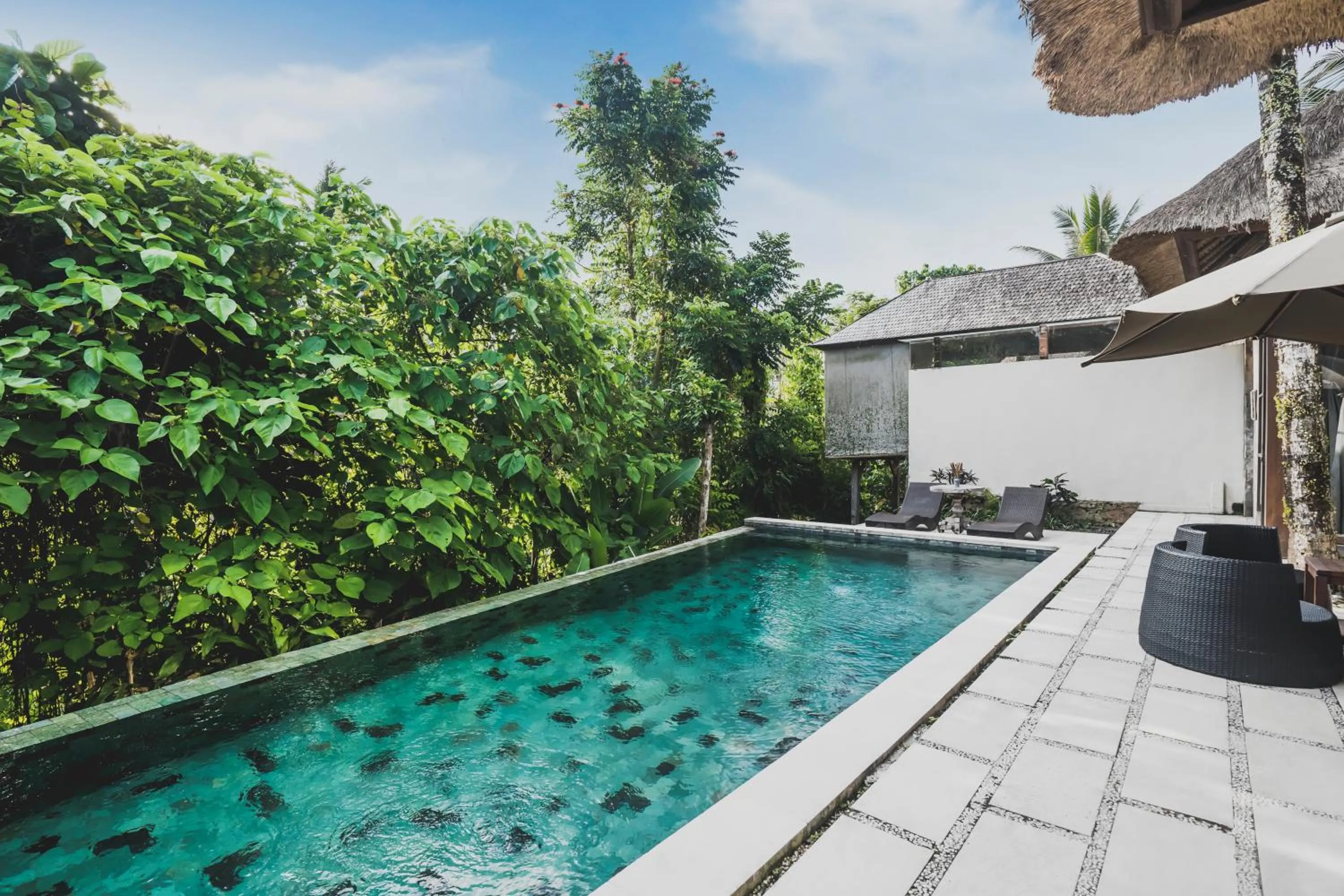 Pool view in Luwak Ubud Villa & Jungle Suite
