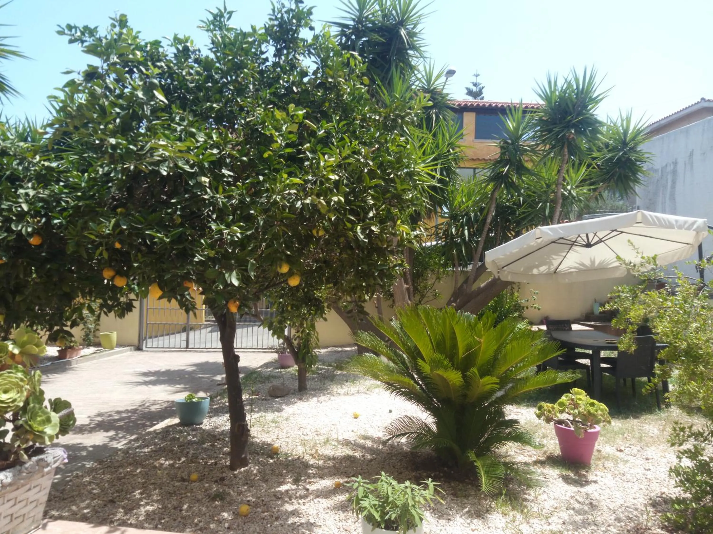 La grazia in qualche modo