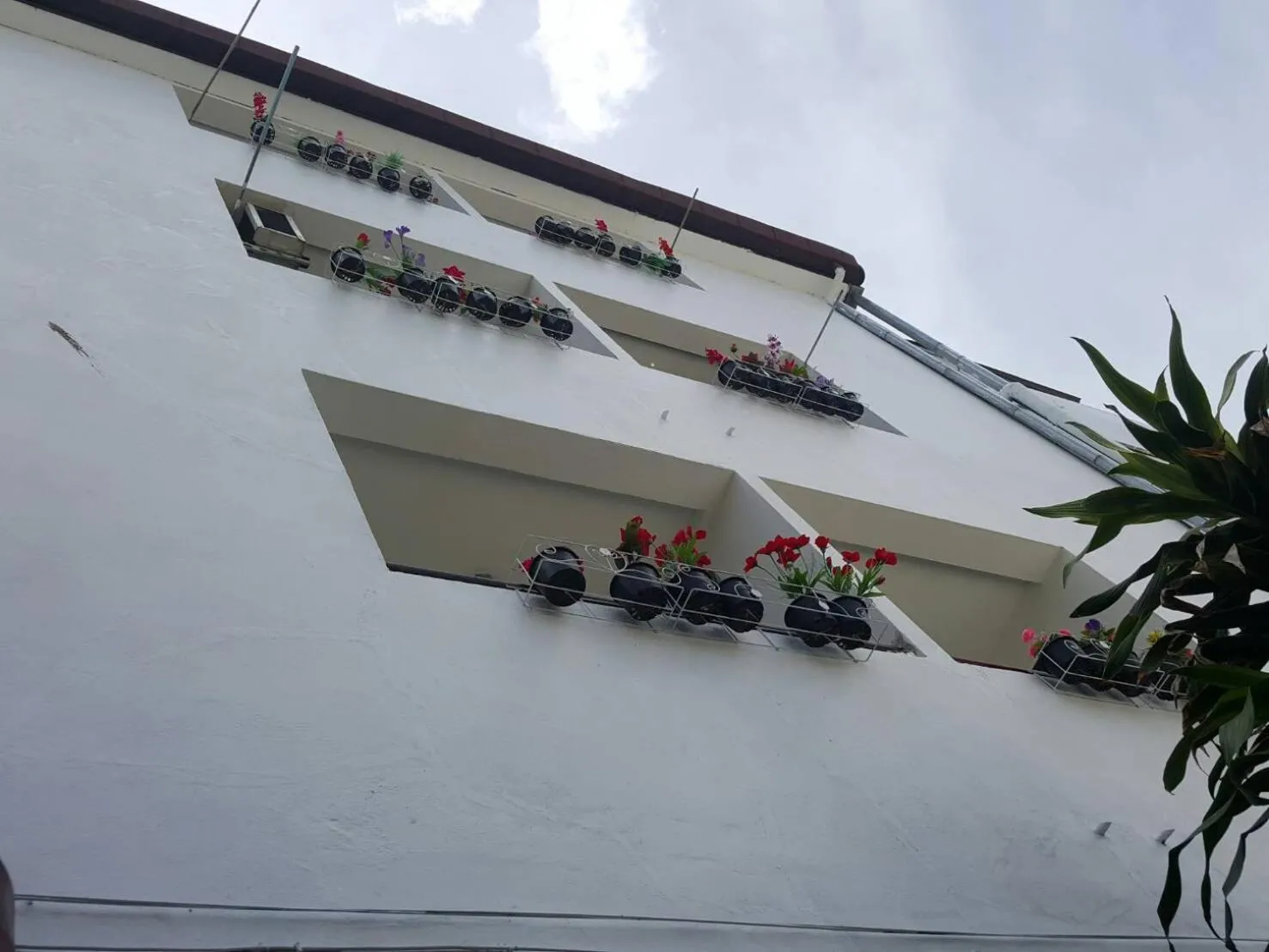 Property building in V.I.P. House