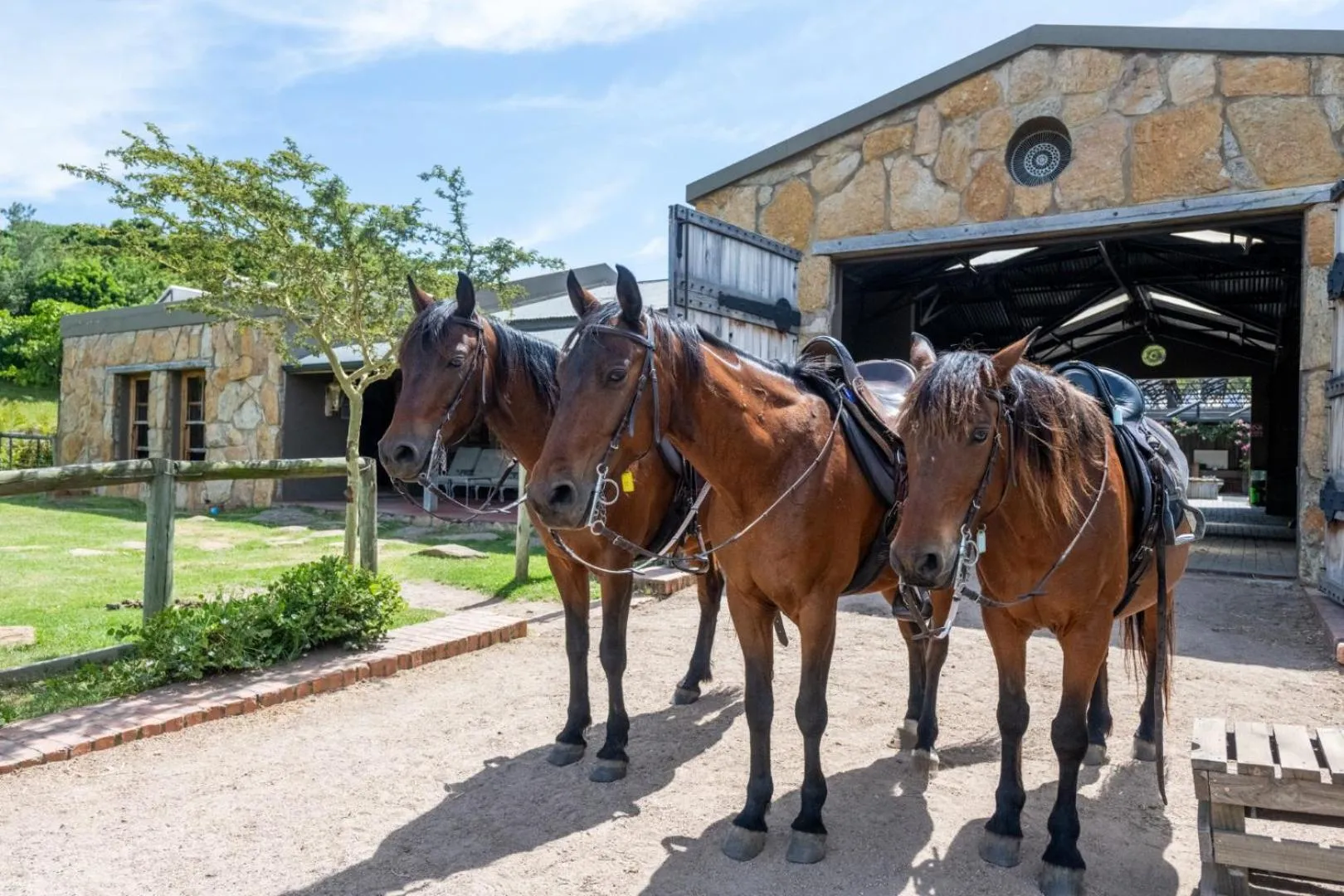 Horse-riding in Botlierskop Tented Lodge