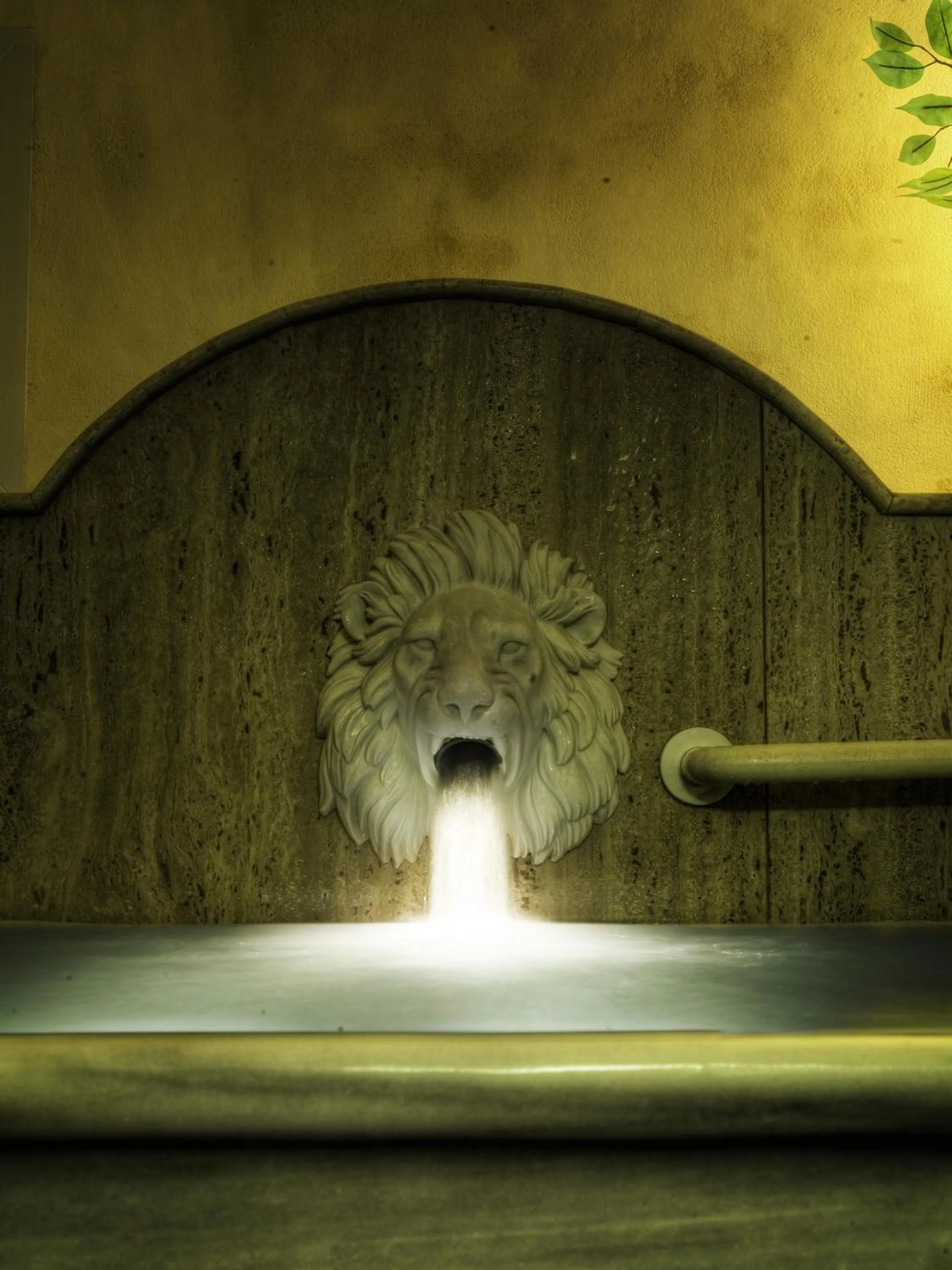 Spa and wellness centre/facilities in Balneario de Leana