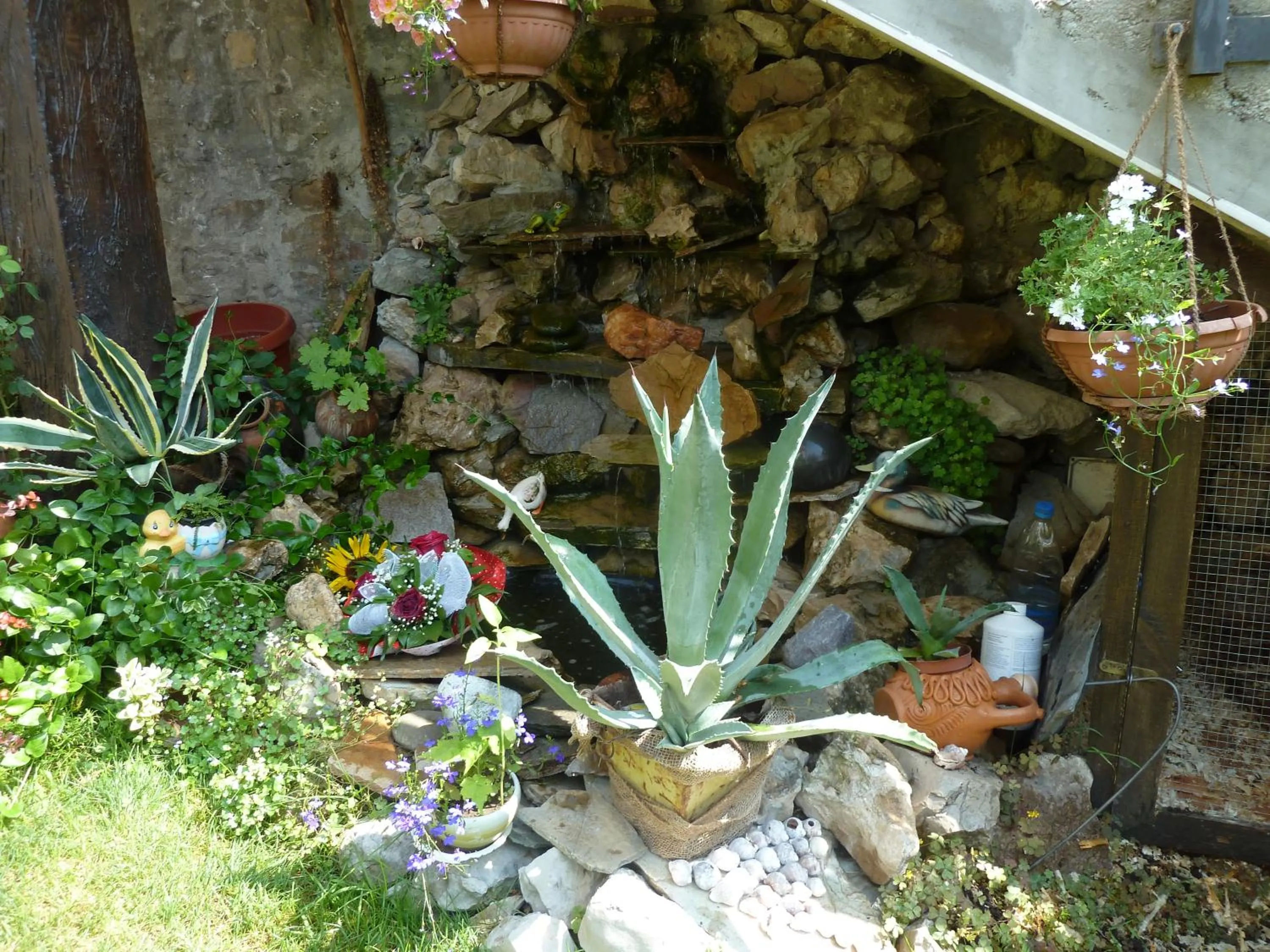 Garden in Hotel Anhea