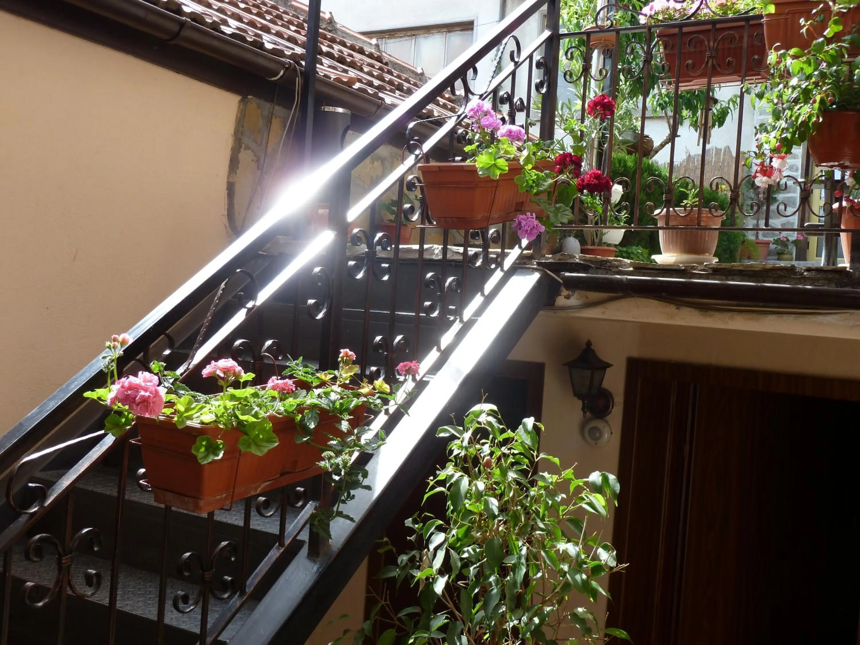 Summer in Hotel Anhea