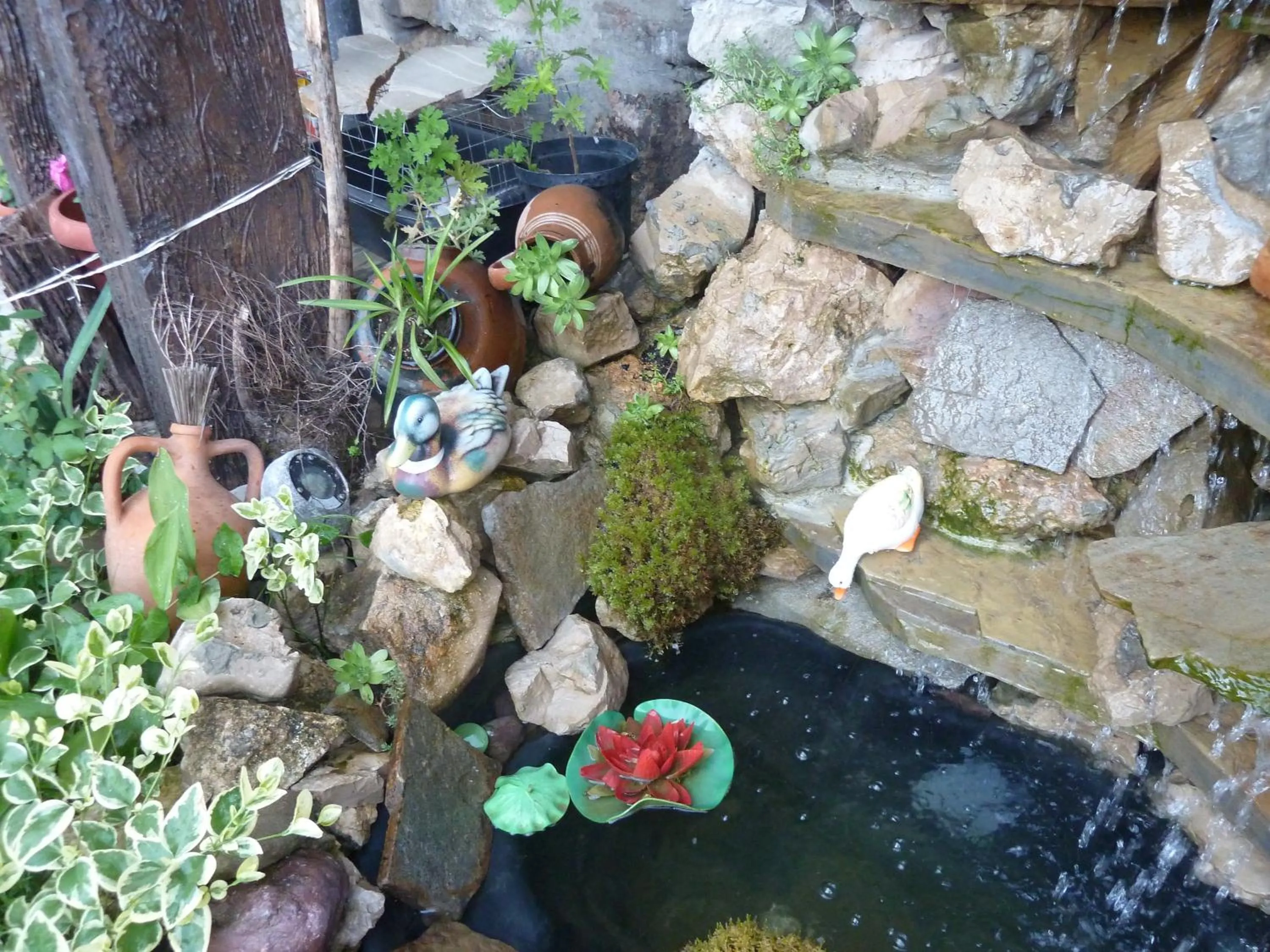 Decorative detail in Hotel Anhea