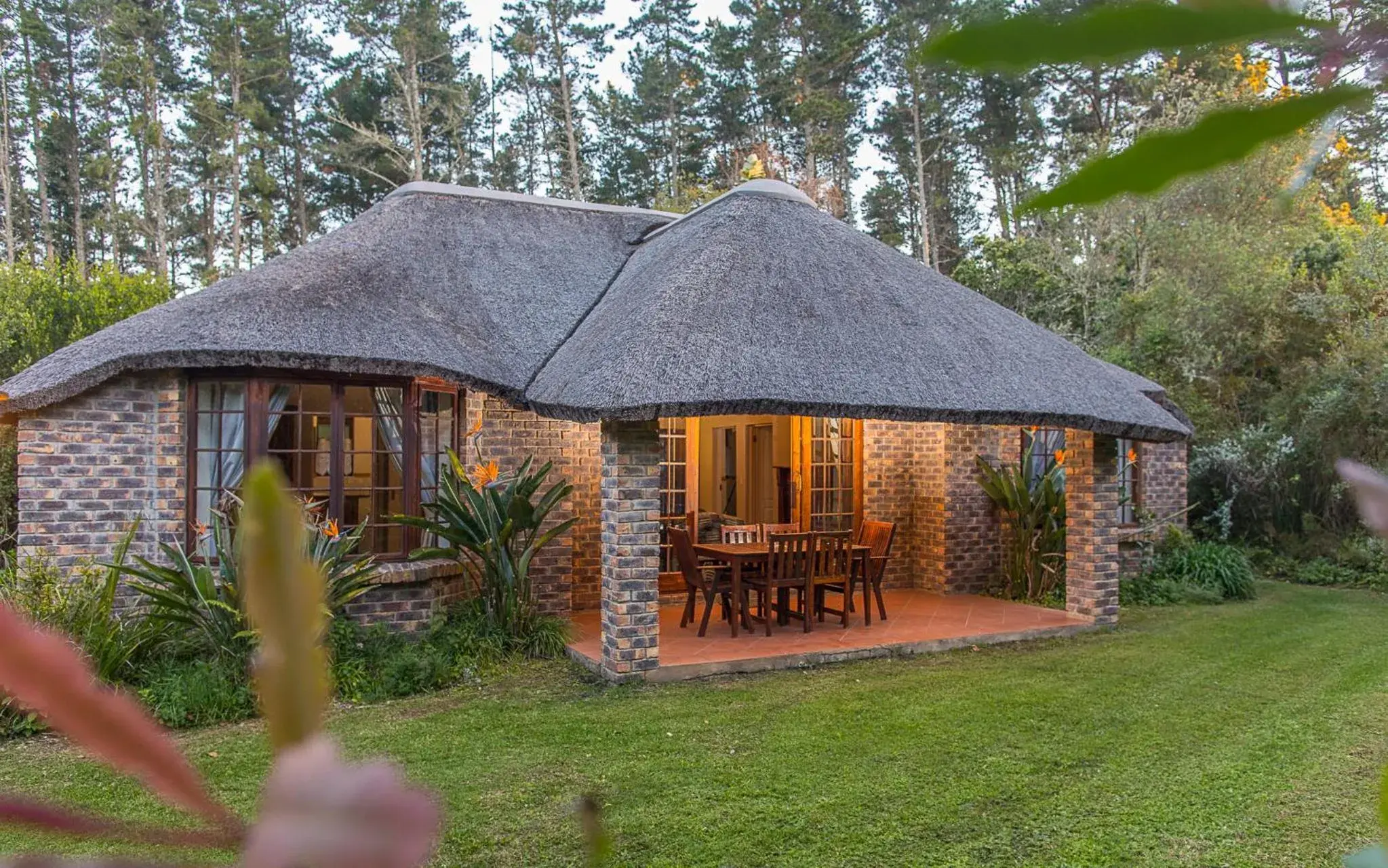 Coral Tree Cottages Coral Tree Cottages