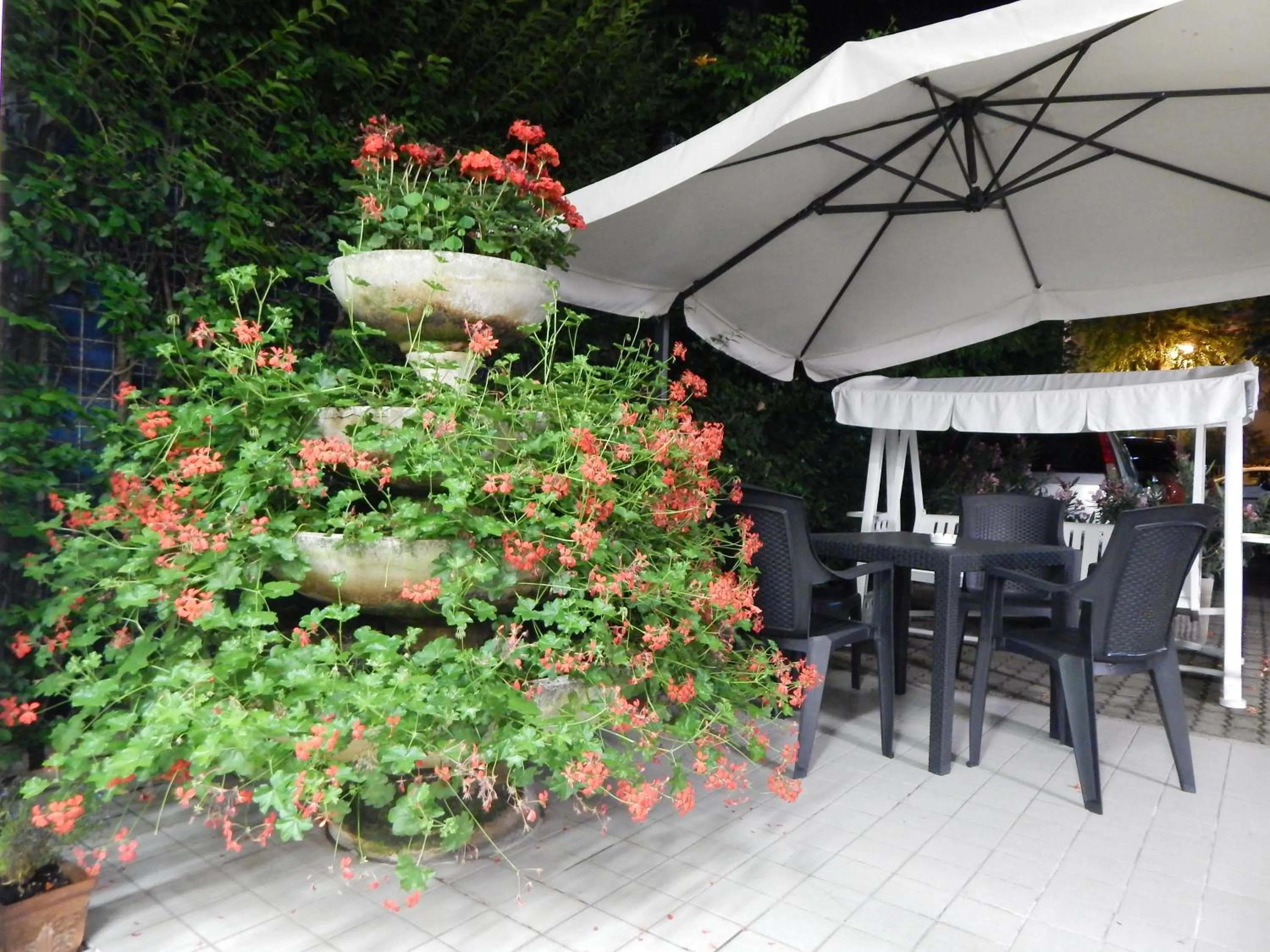 Garden in Hotel Vera