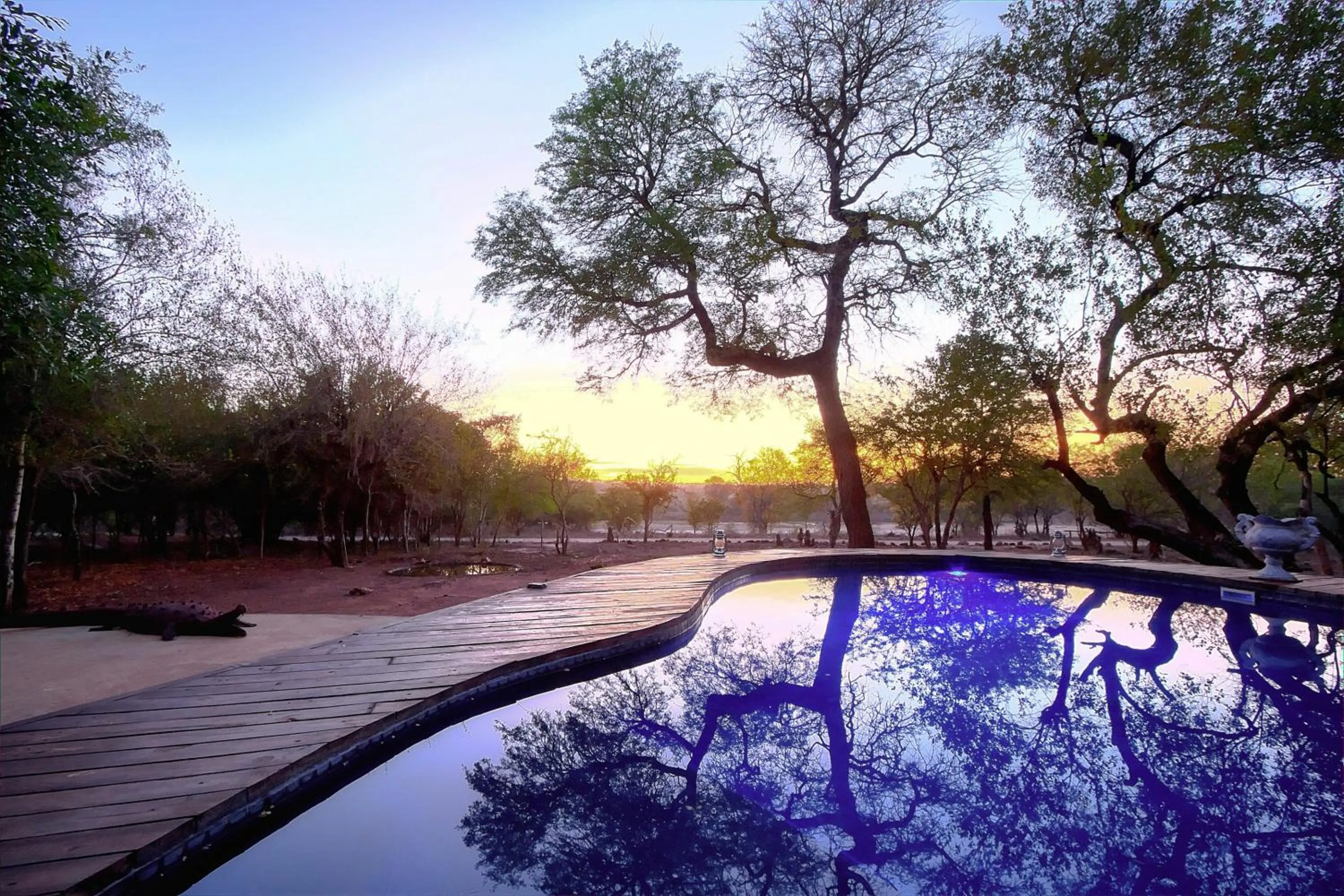 Day in Mvuradona Safari Lodge