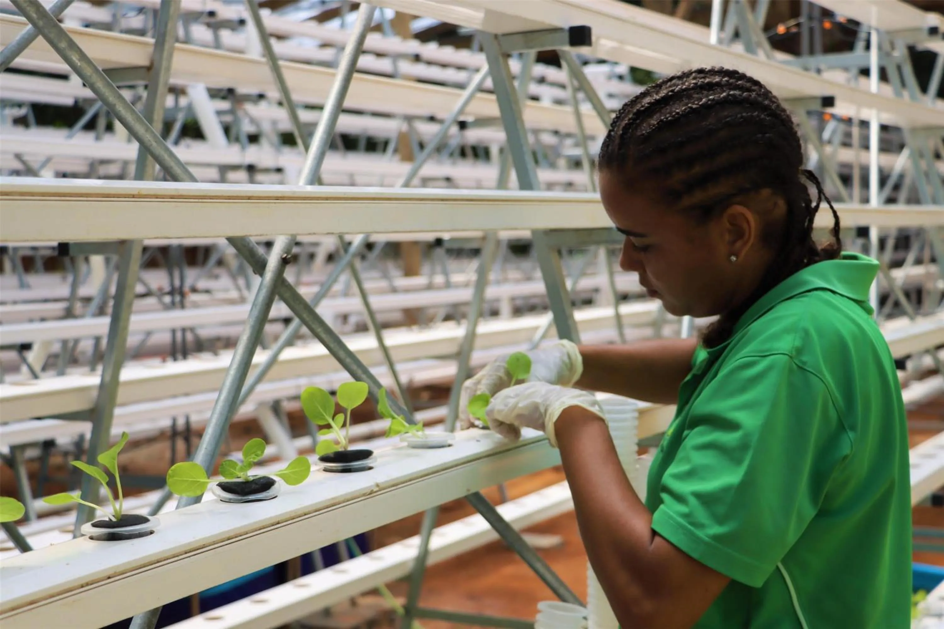 Property building in Kempinski Seychelles Resort