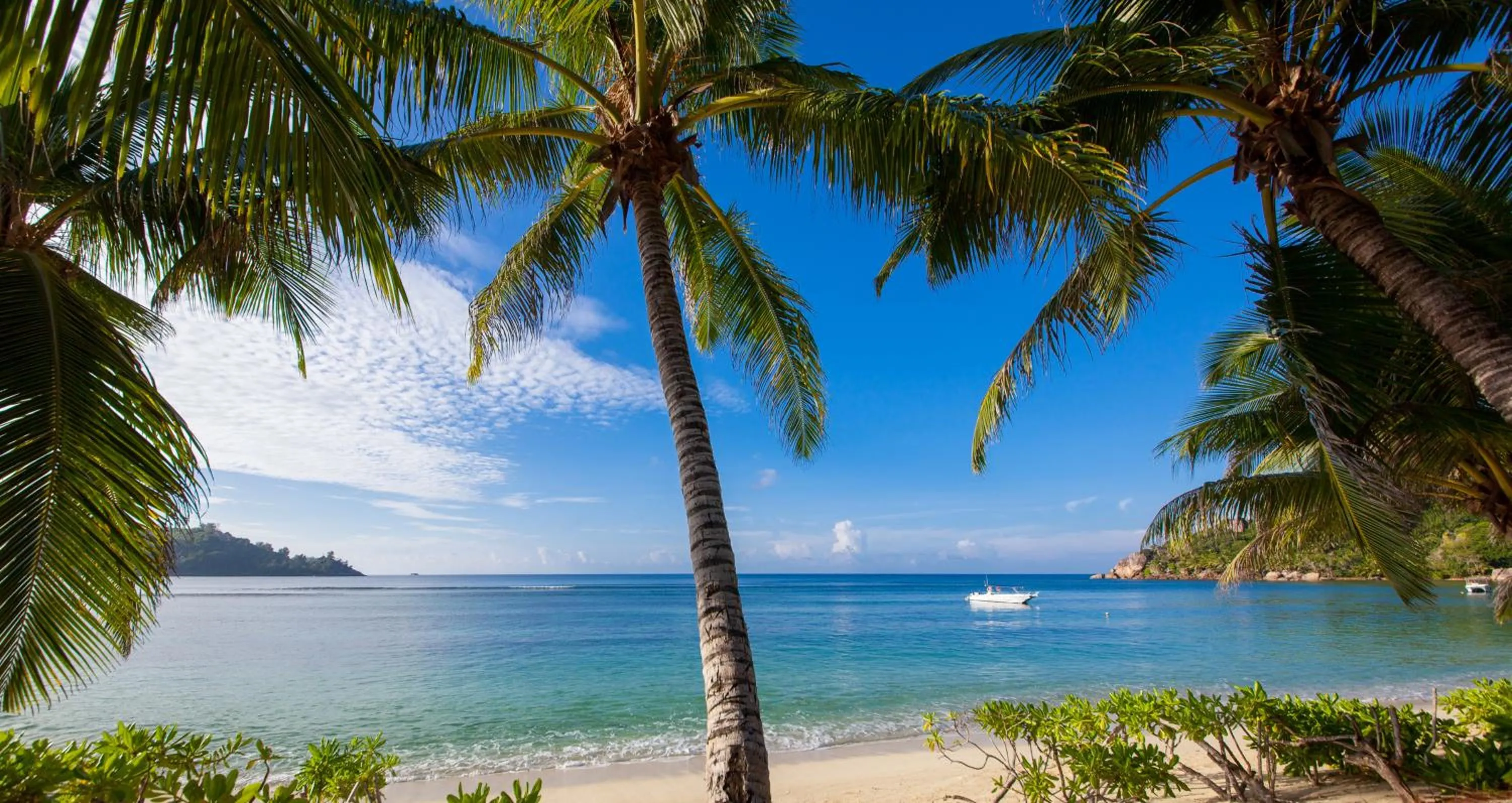 Beach in Kempinski Seychelles Resort
