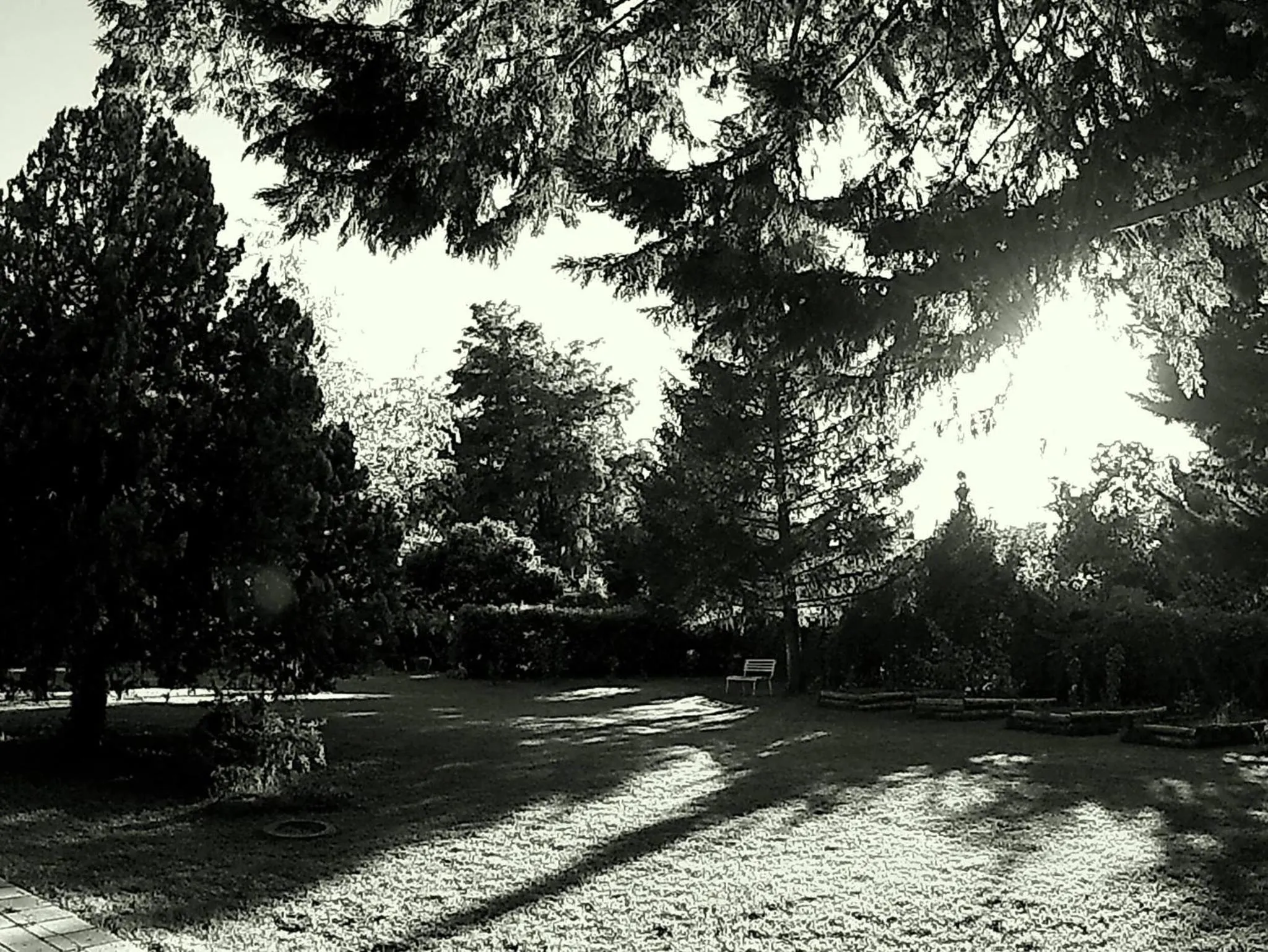 Summer in La Francigena