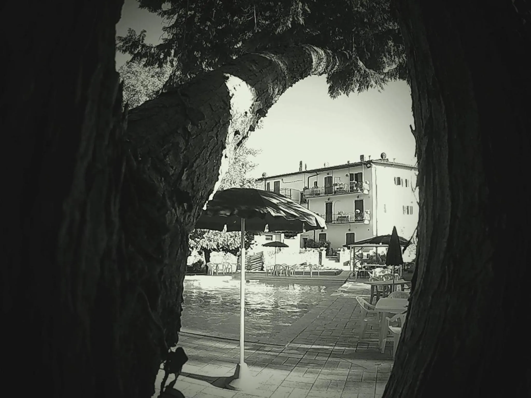 Summer in La Francigena