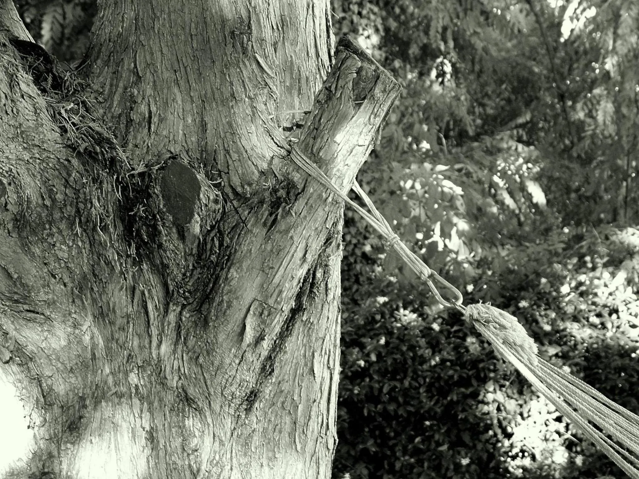 Decorative detail in La Francigena