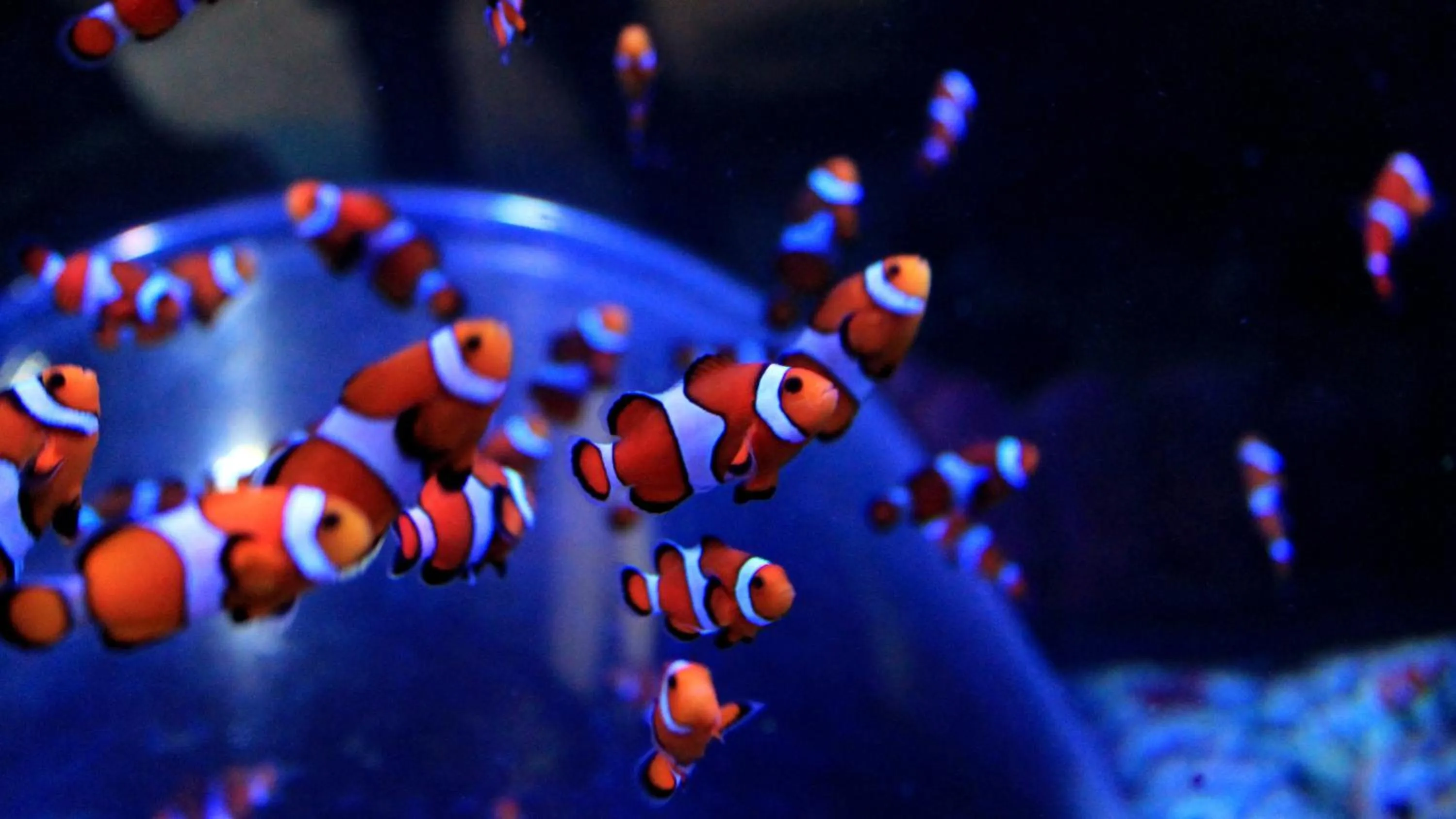 Area and facilities in Holiday Inn Birmingham M6, Jct7 by IHG