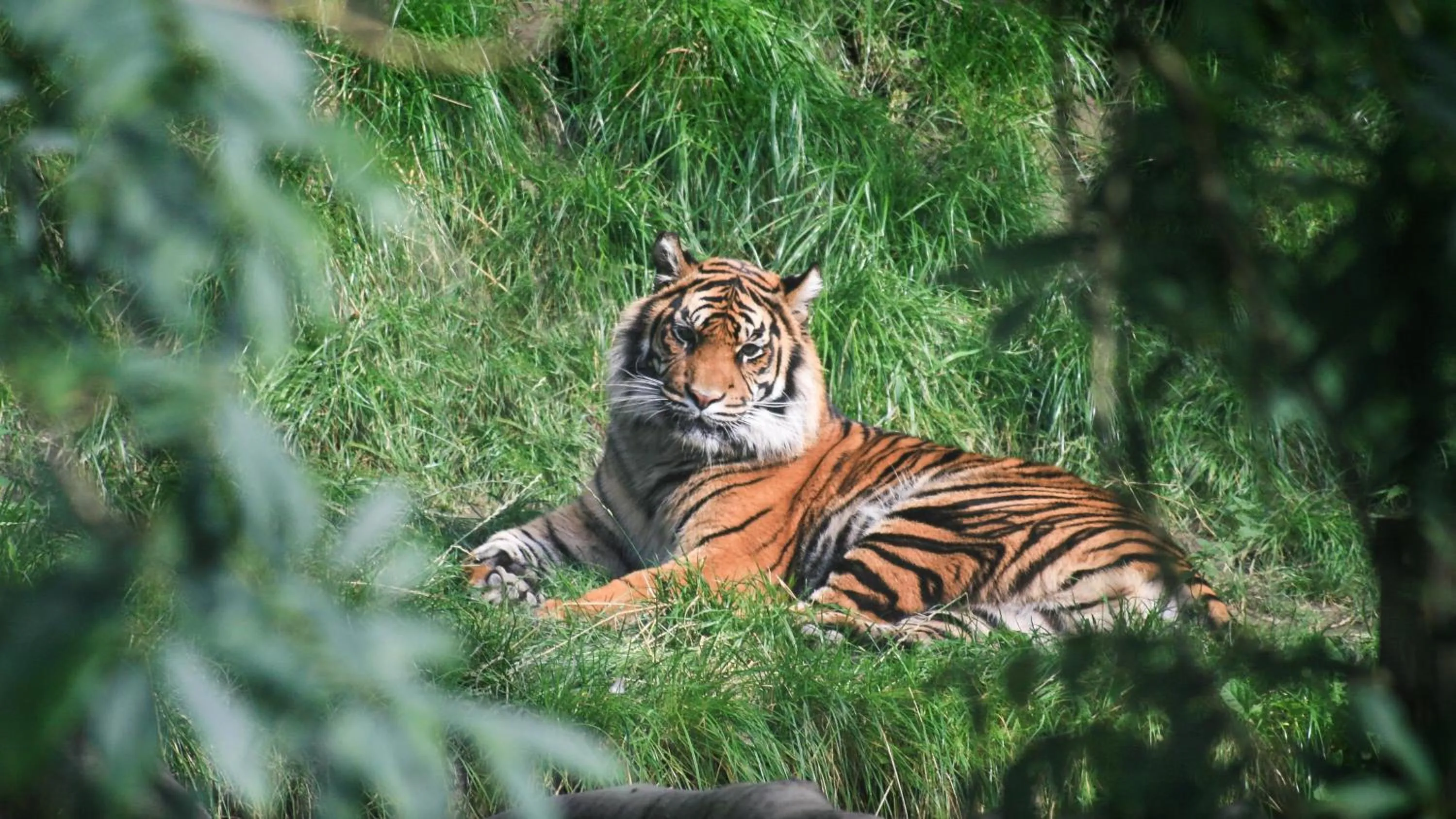 Area and facilities in Holiday Inn Birmingham M6, Jct7 by IHG