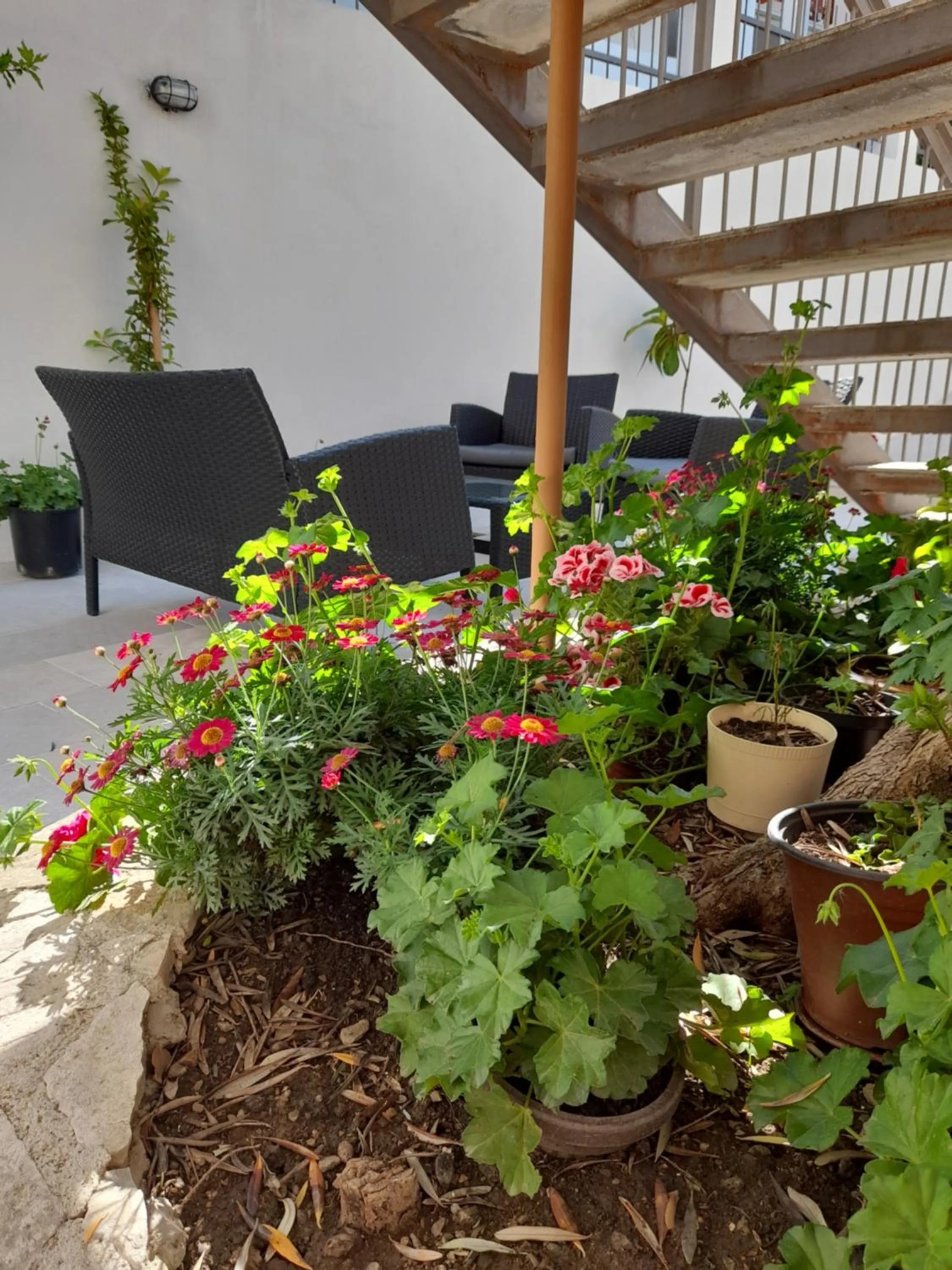 Garden in " Villa Kruna Lux "