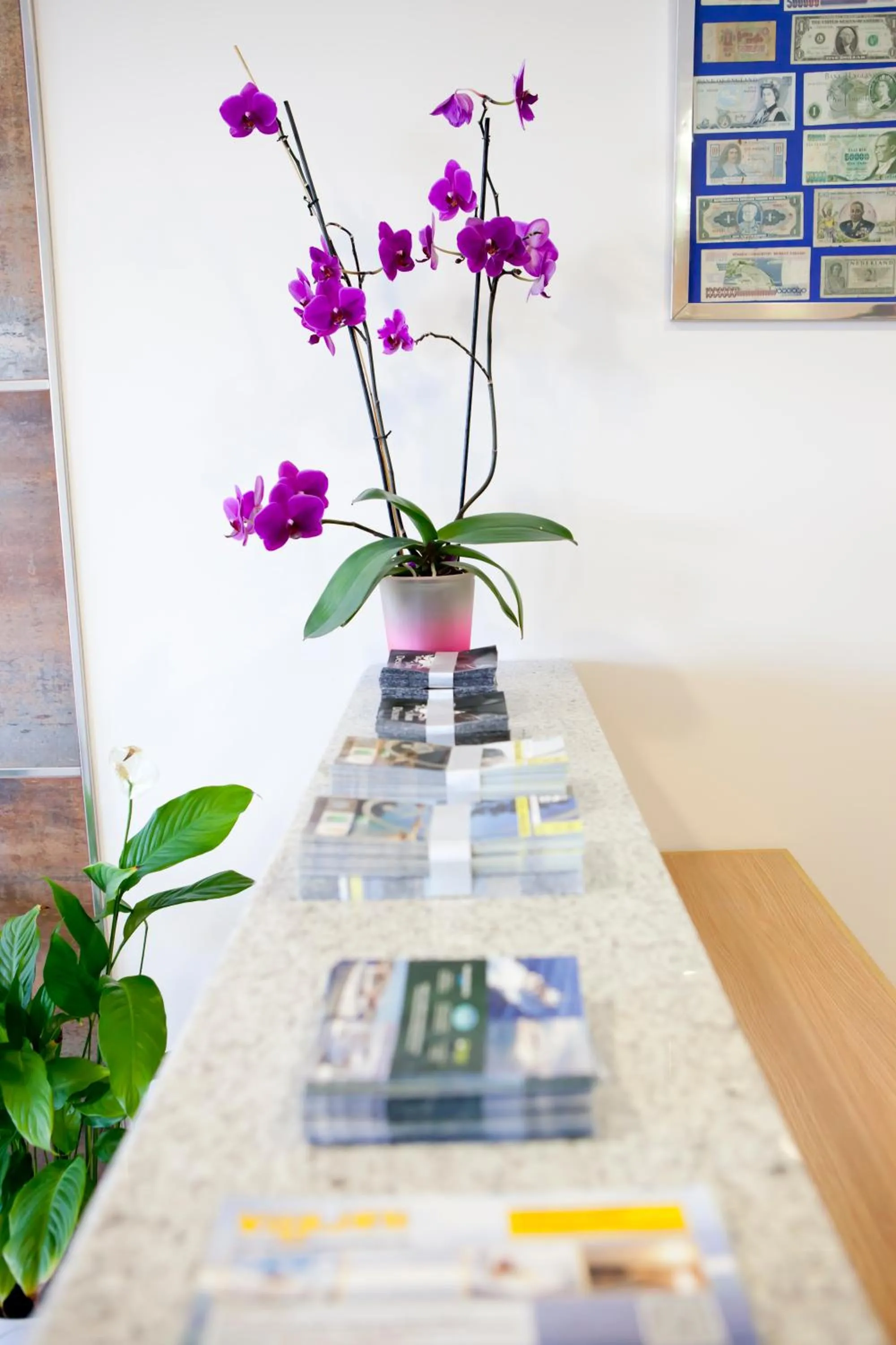 On site in Hotel Brisa del Mar