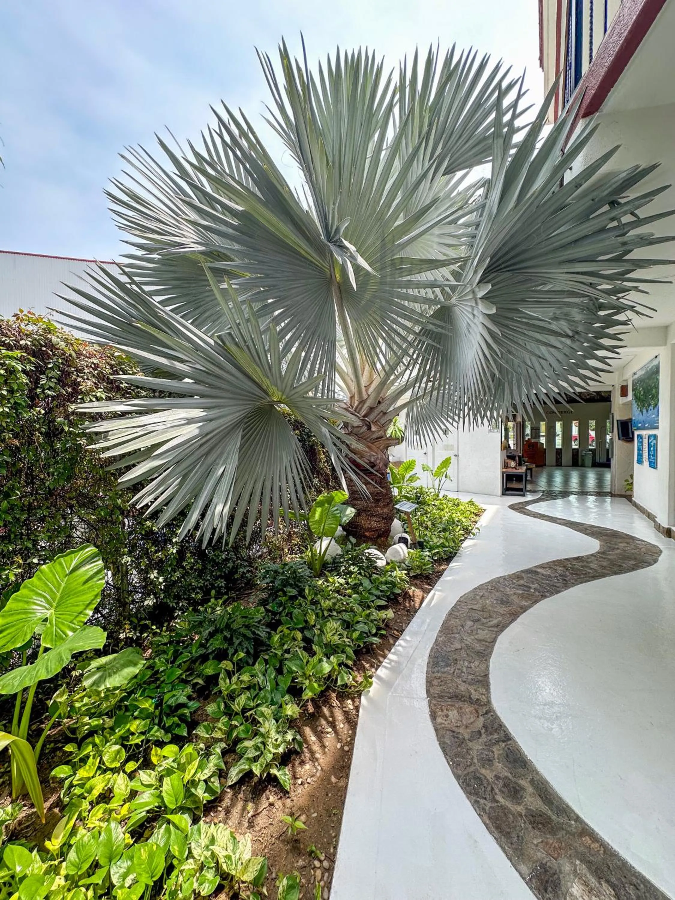 Garden in Best Western Posada Chahue