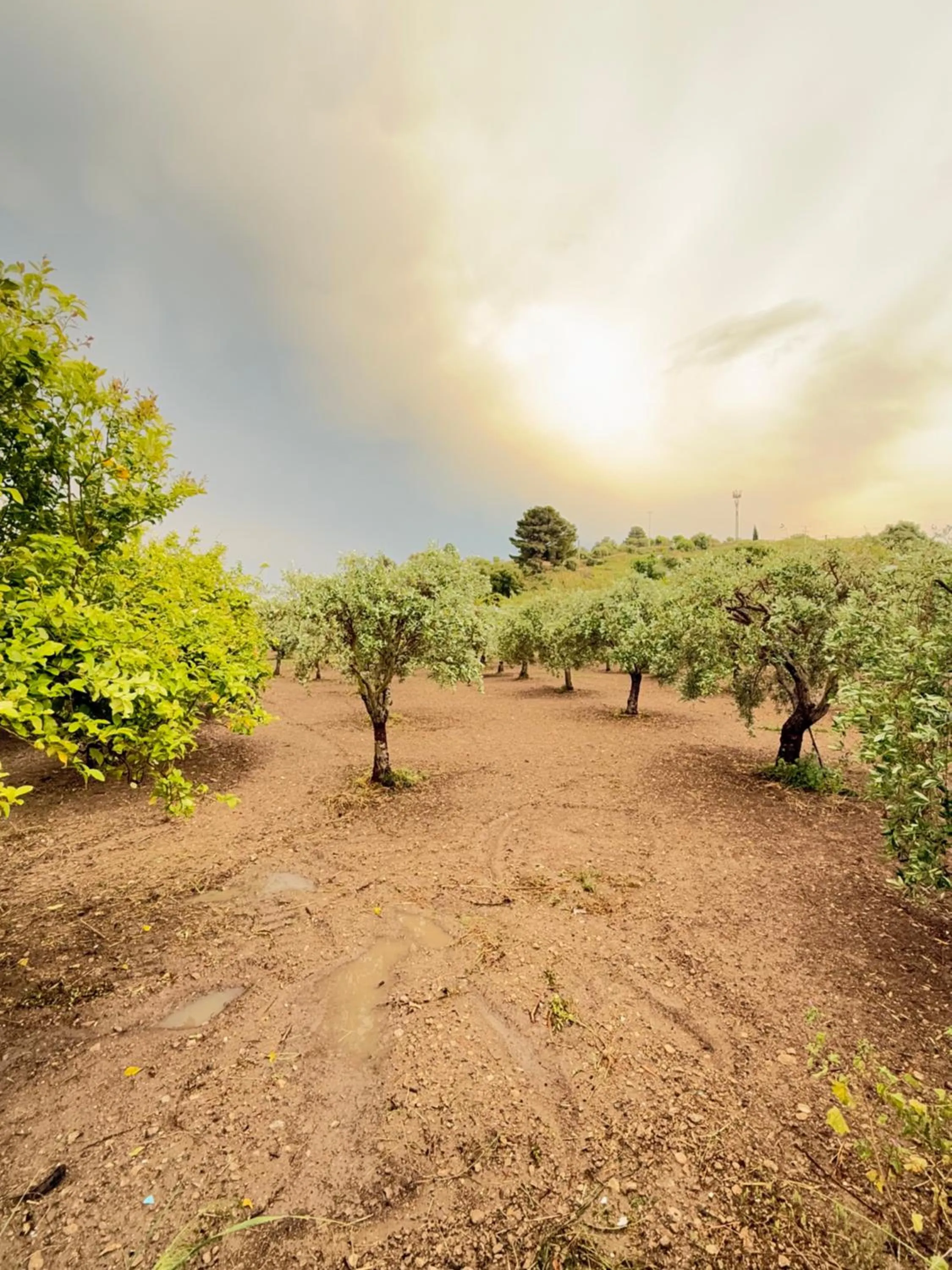Natural landscape in Villa Landolina