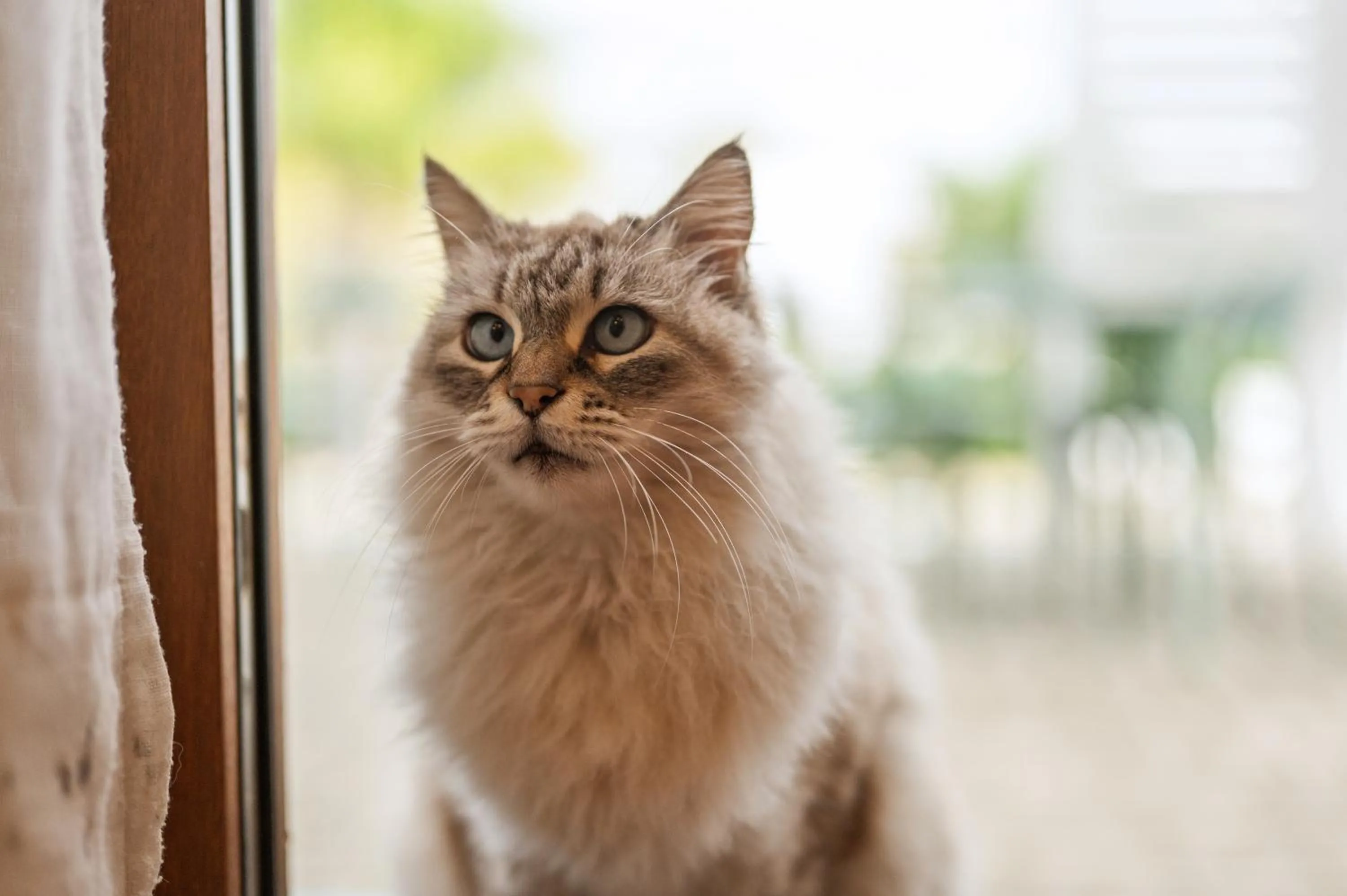 Animals in Villa Landolina