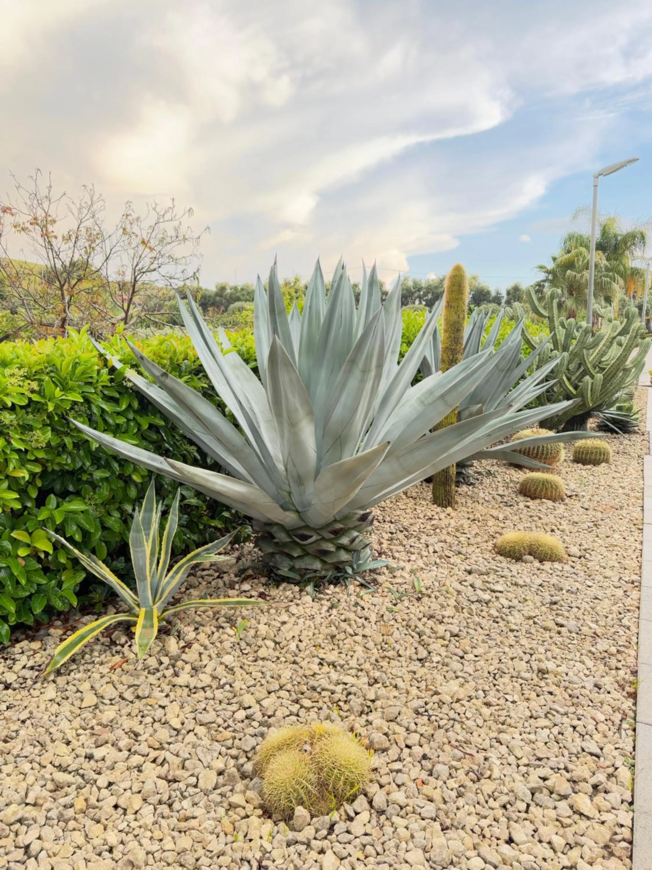 Garden view in Villa Landolina