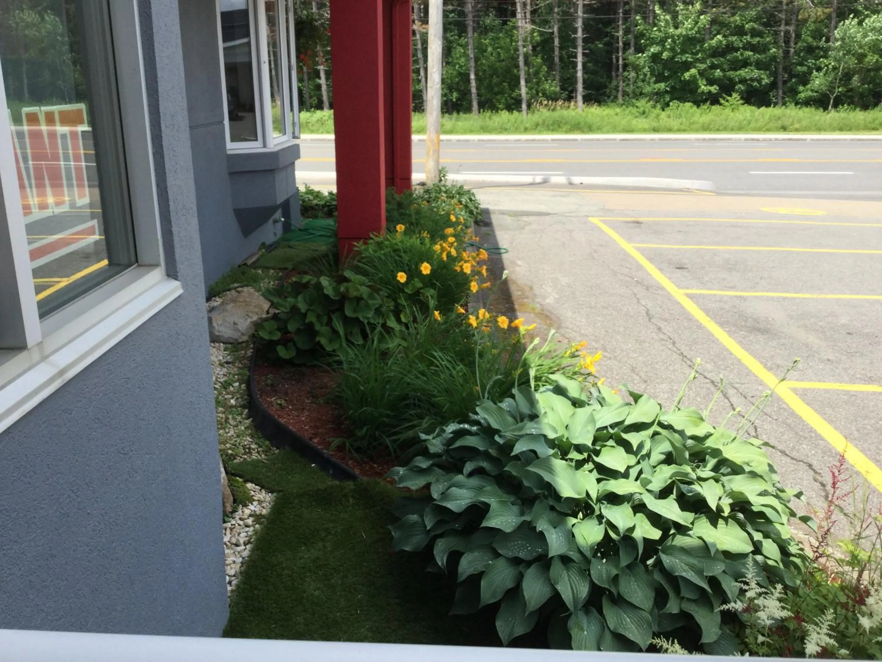 Garden in Hotel Motel Hospitalité