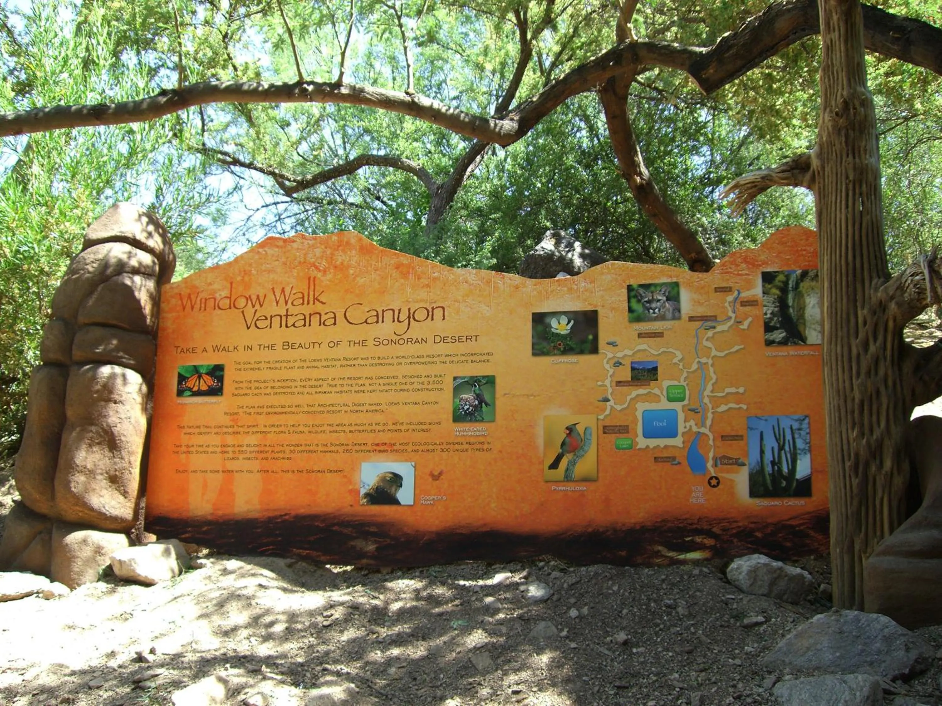 Nearby landmark in Loews Ventana Canyon Resort