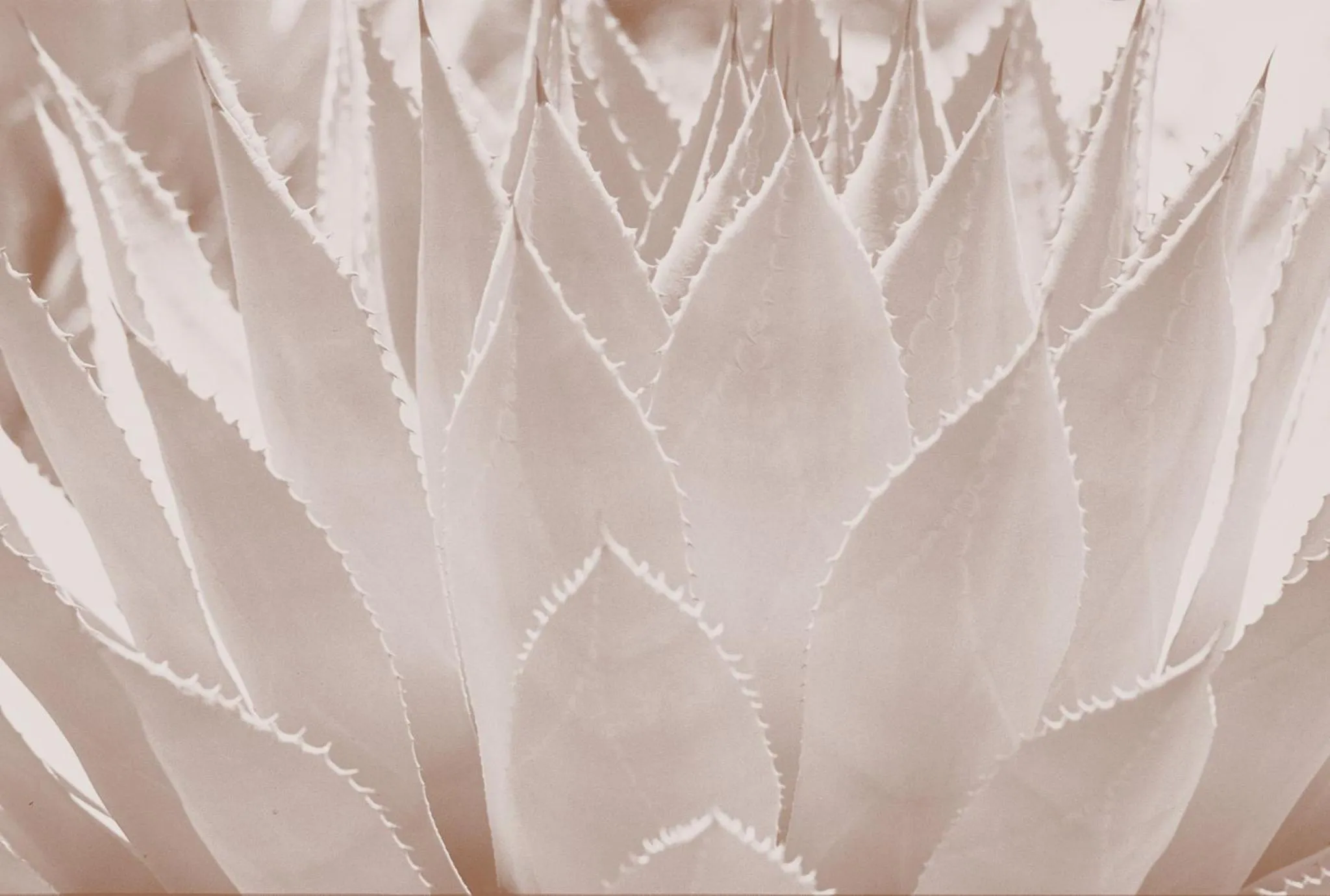 Other in Loews Ventana Canyon Resort