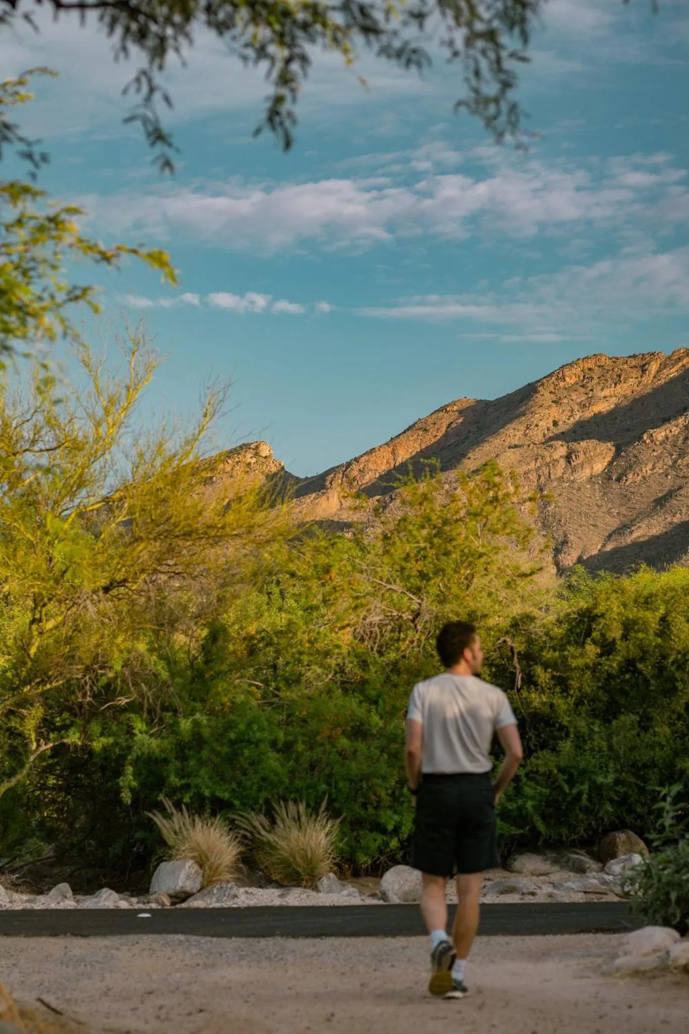 Other in Loews Ventana Canyon Resort