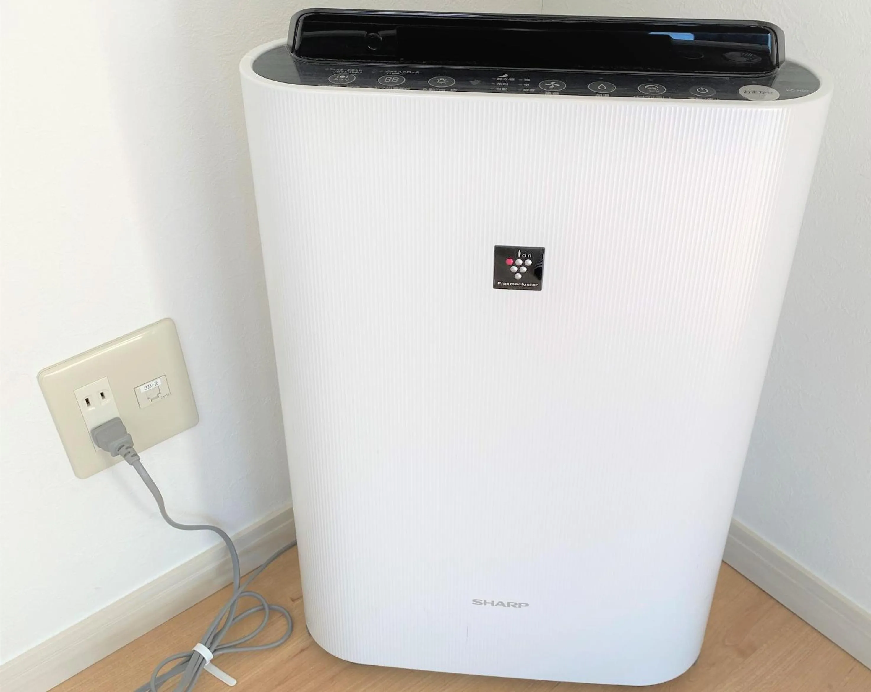 Area and facilities in Hotel Sakurano Familia Nago