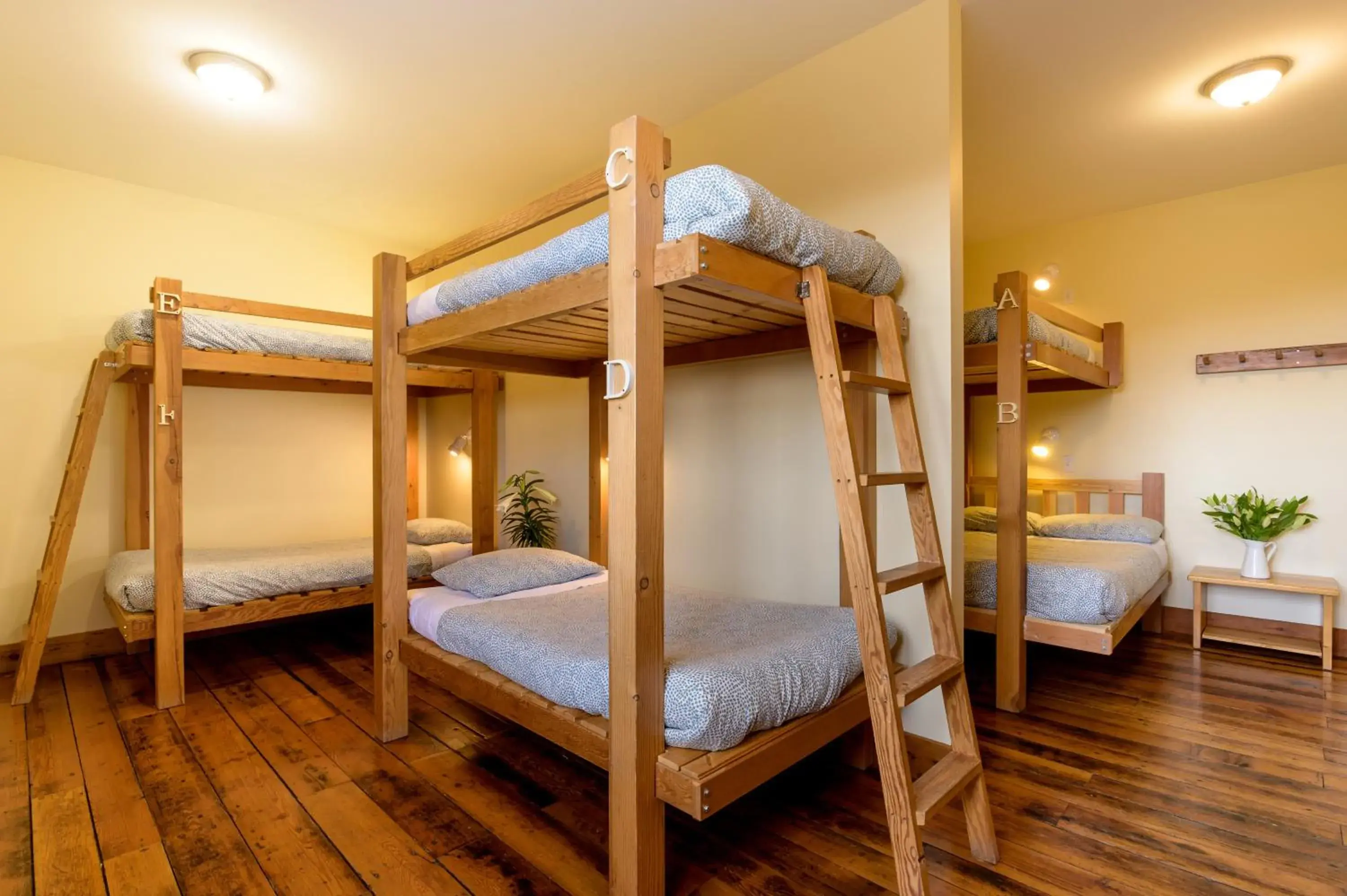 Family Room with Shared Bathroom in Riding Fool Accommodation Family Room with Shared Bathroom in Riding Fool Accommodation