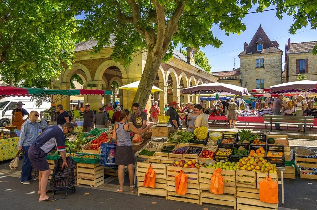 Area and facilities in Les Magnolias holiday homes