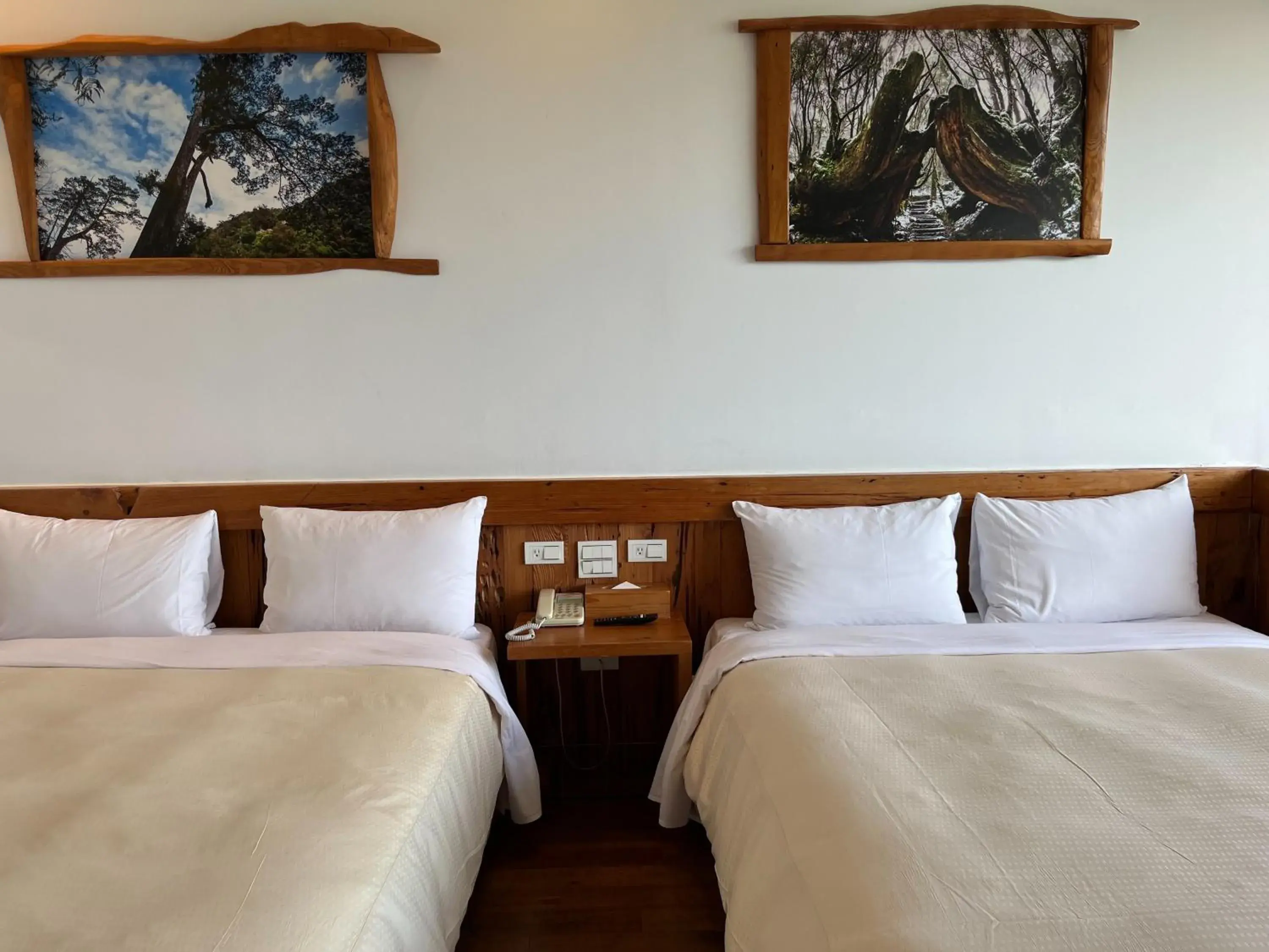 King Room with Mountain View in Shangrila Leisure Farm King Room with Mountain View in Shangrila Leisure Farm