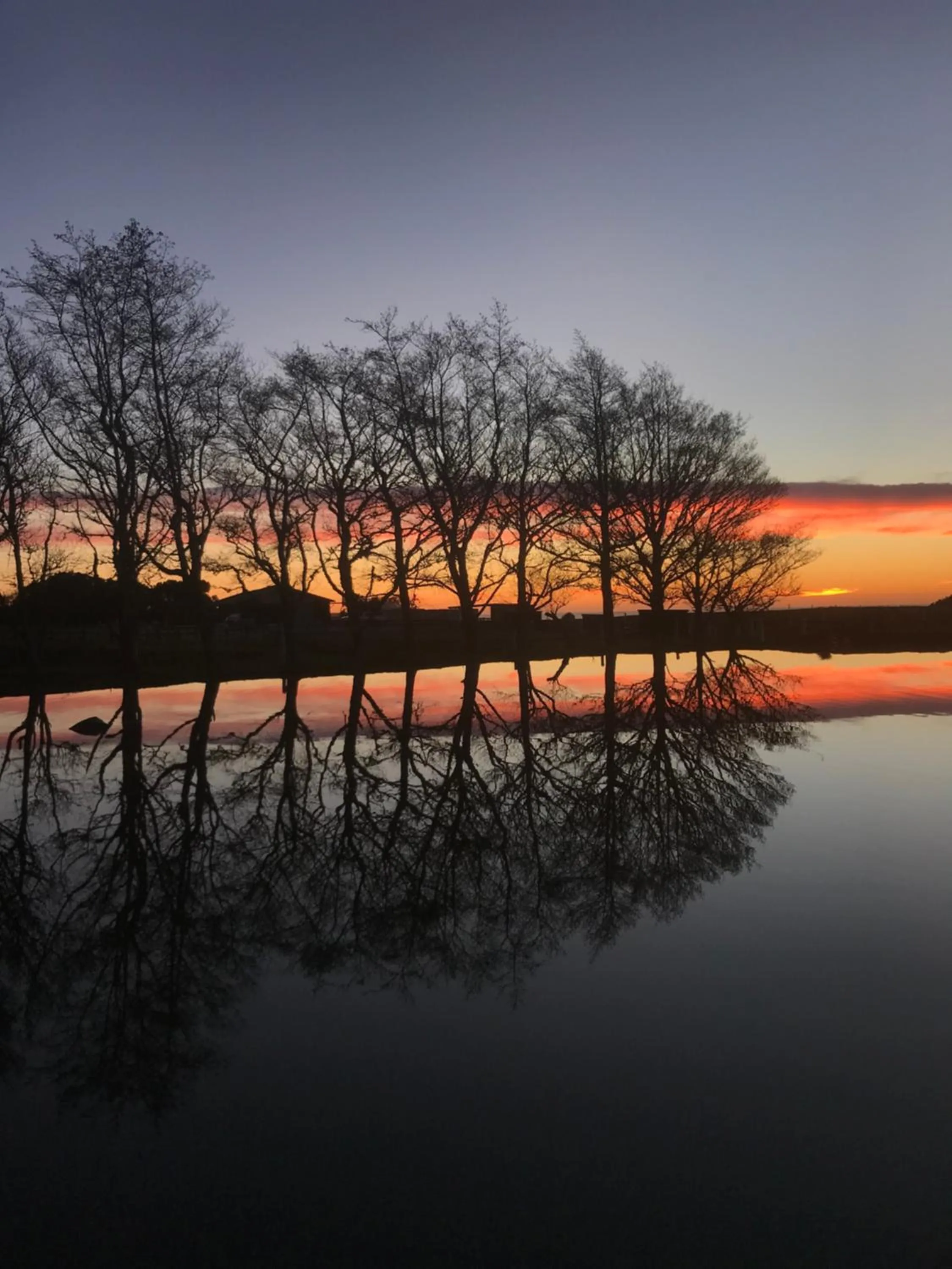 Garden view in Stations Inn