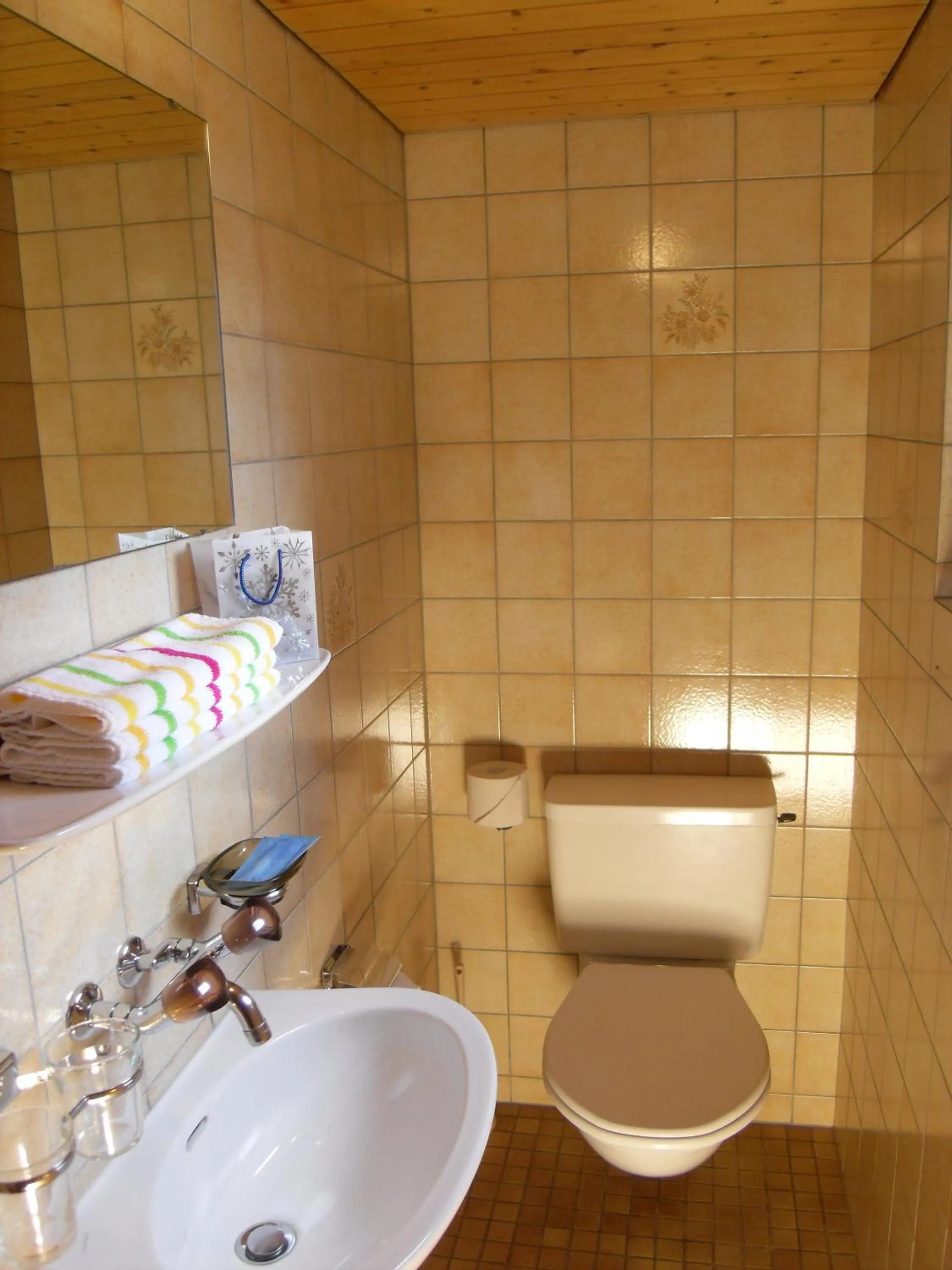 Photo of the whole room in Hotel Alpina