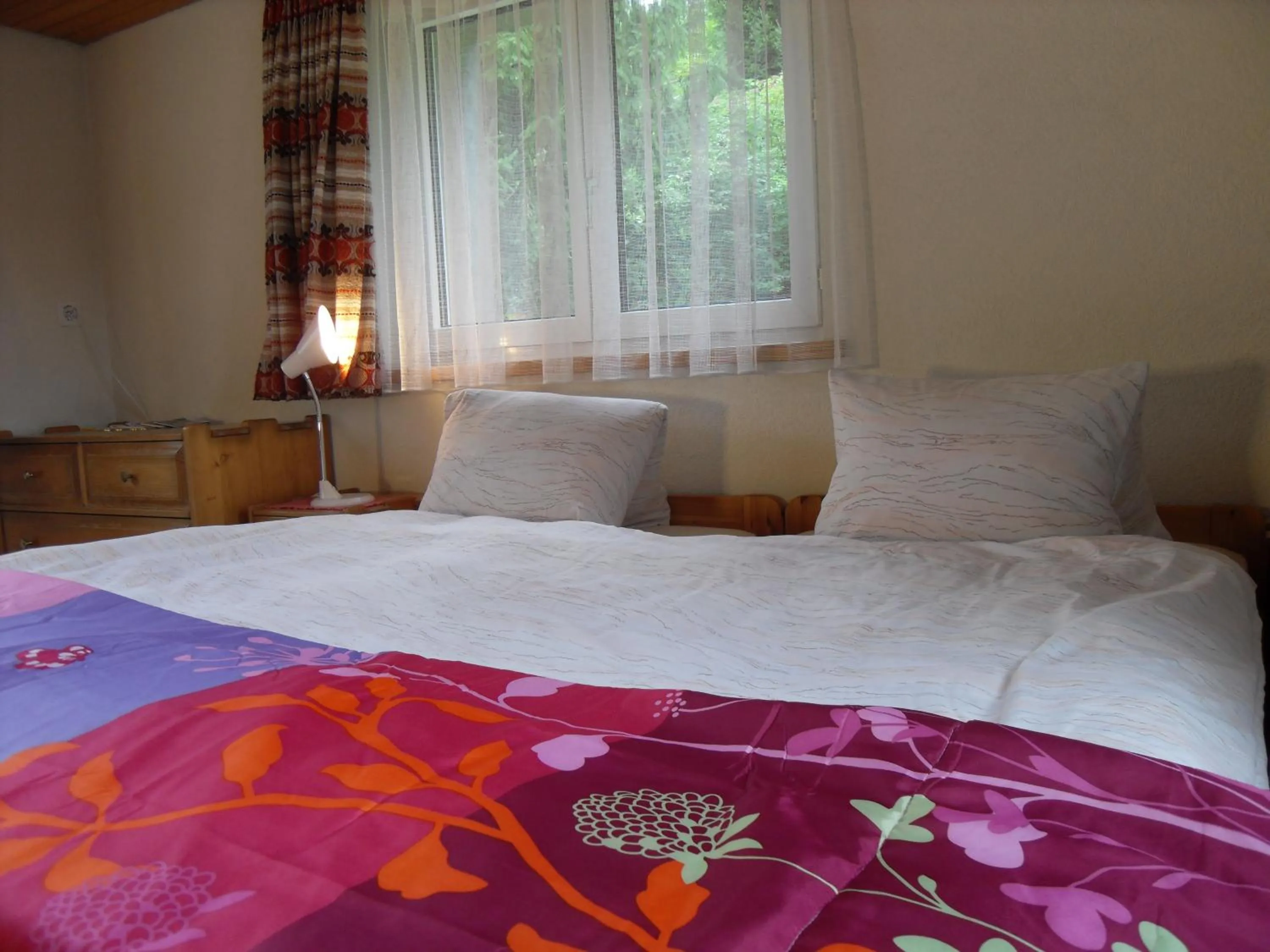 Photo of the whole room, Bed in Hotel Alpina