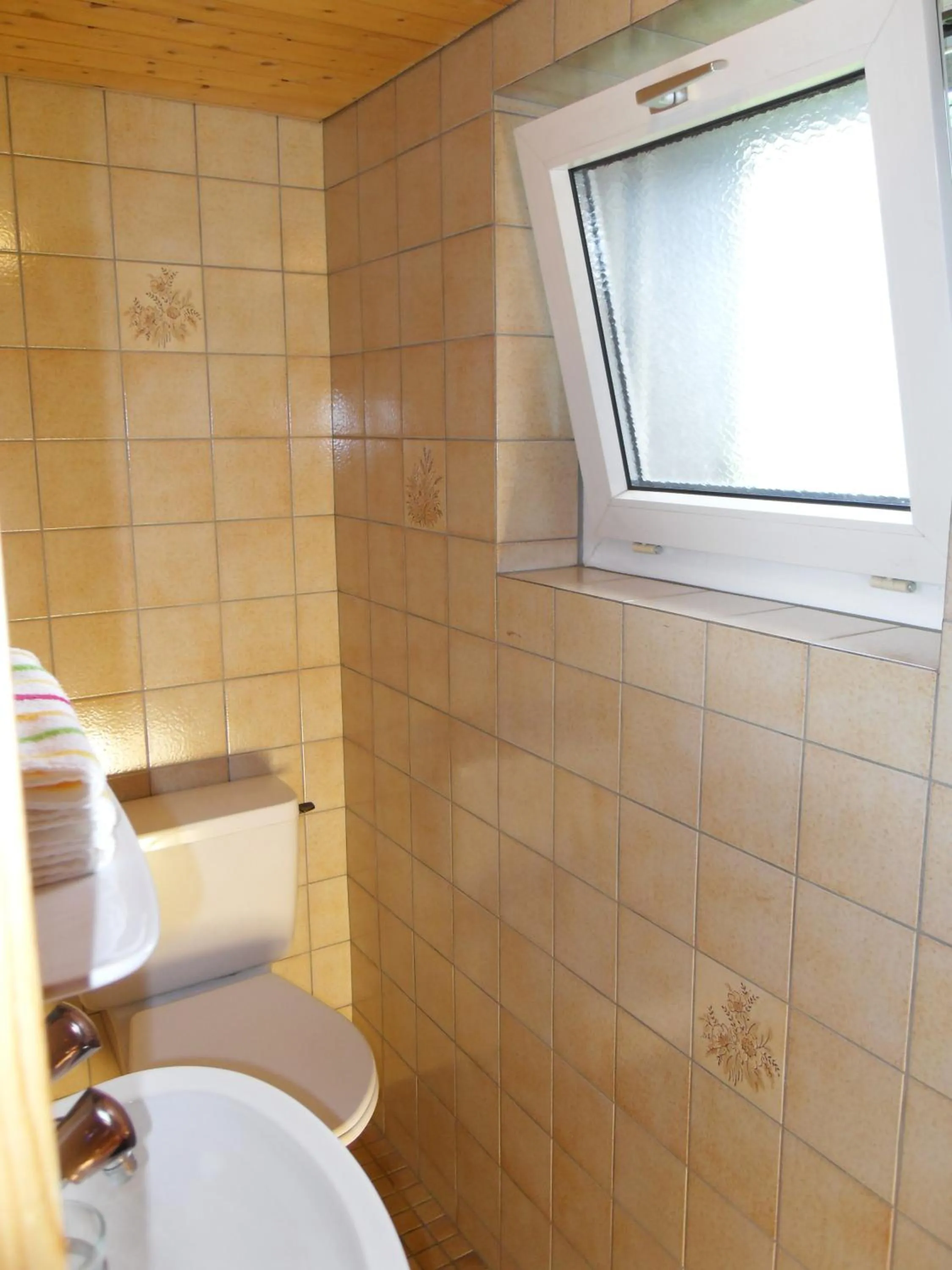 Photo of the whole room in Hotel Alpina