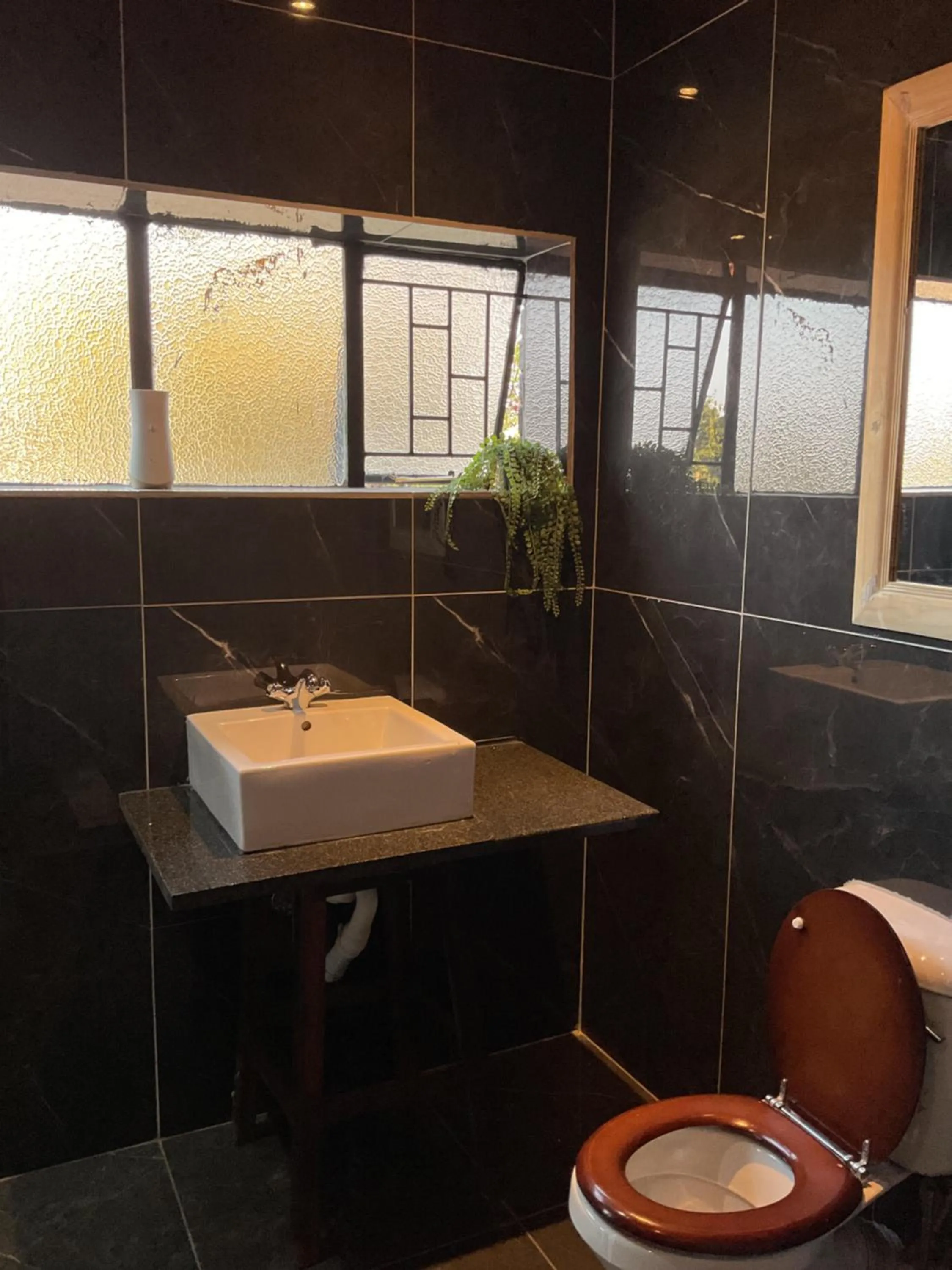 Bathroom in Bothabelo Bed and Breakfast