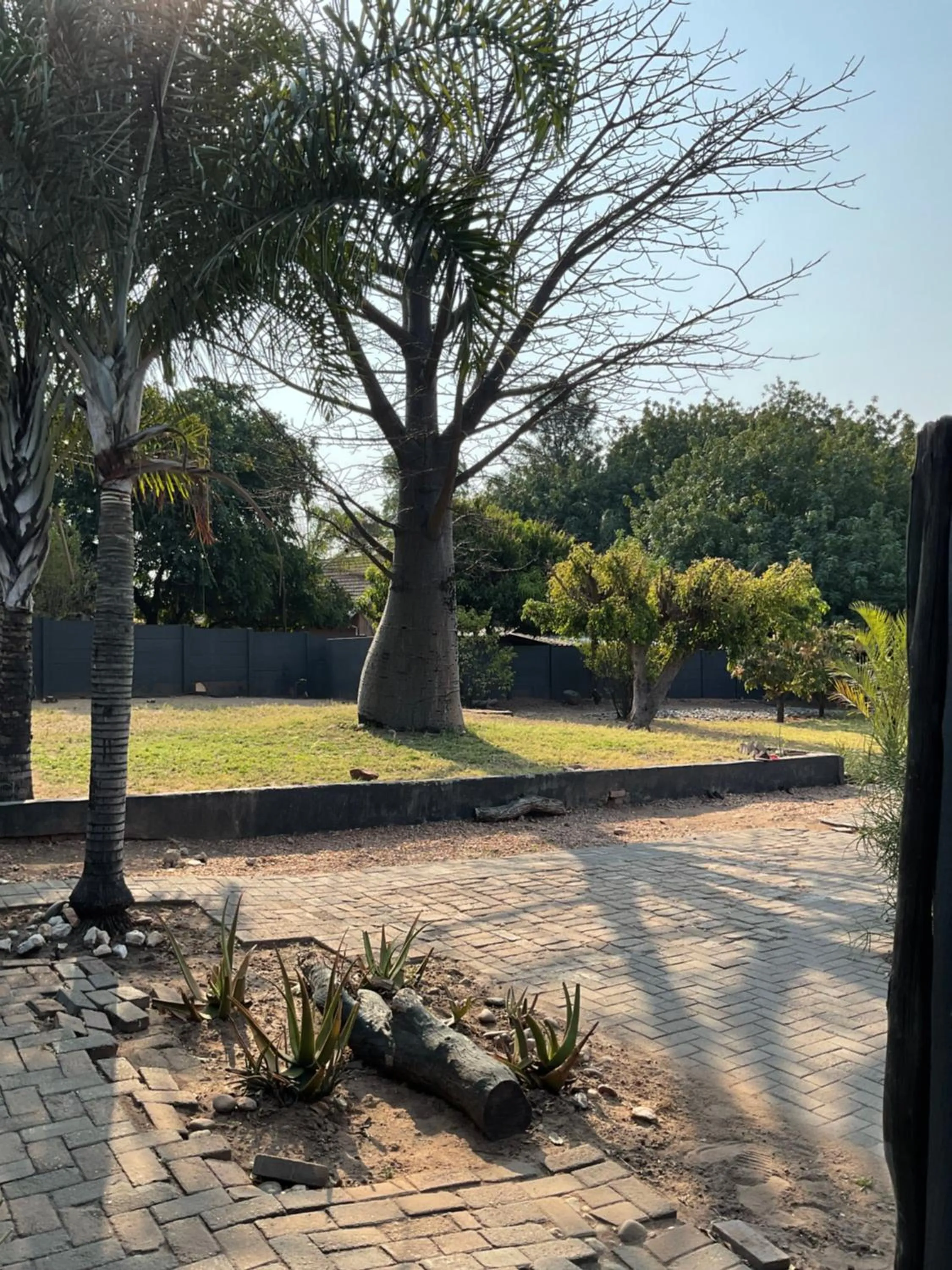 Garden view in Bothabelo Bed and Breakfast