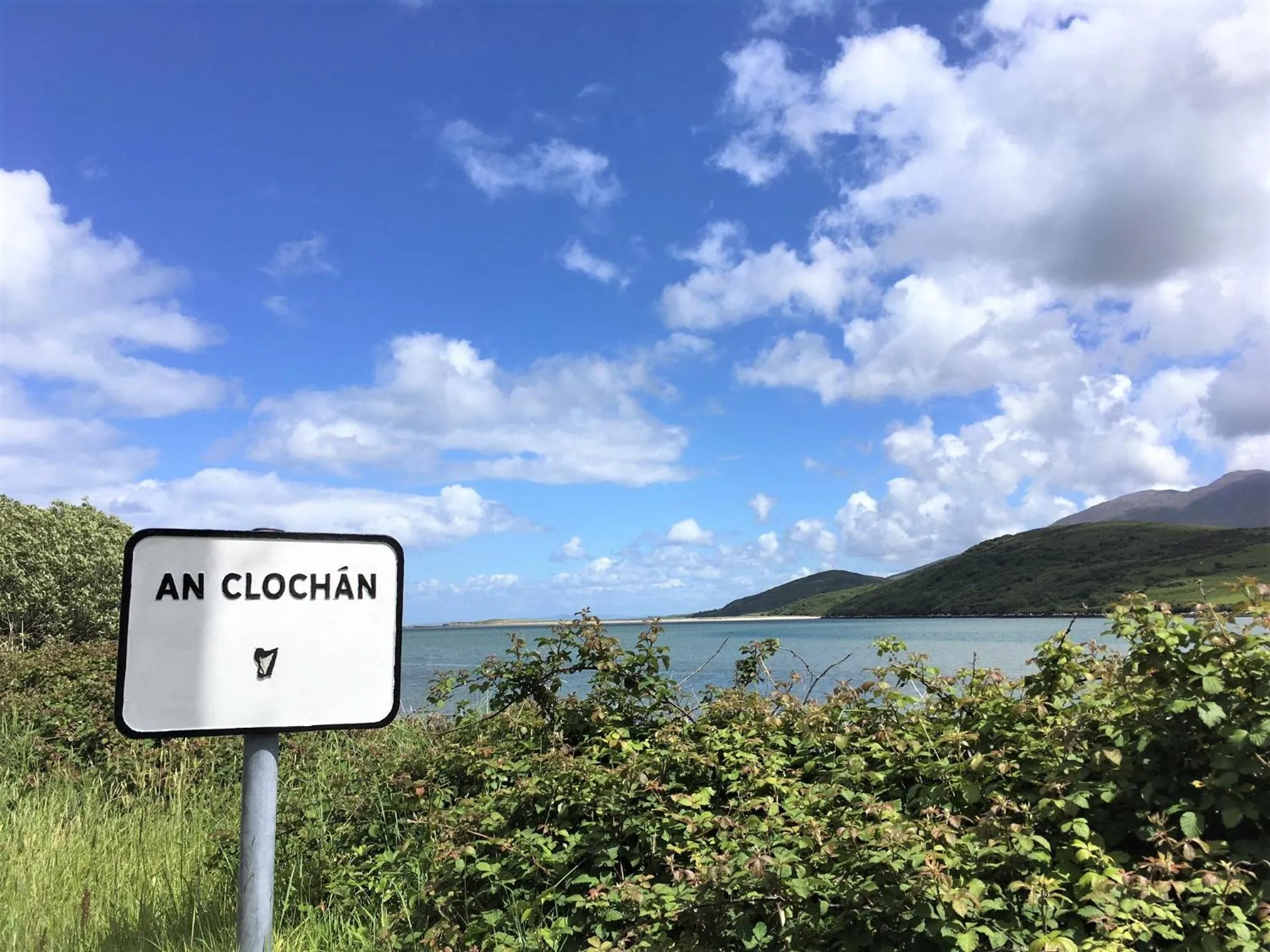 Natural landscape in O'Connors Guesthouse