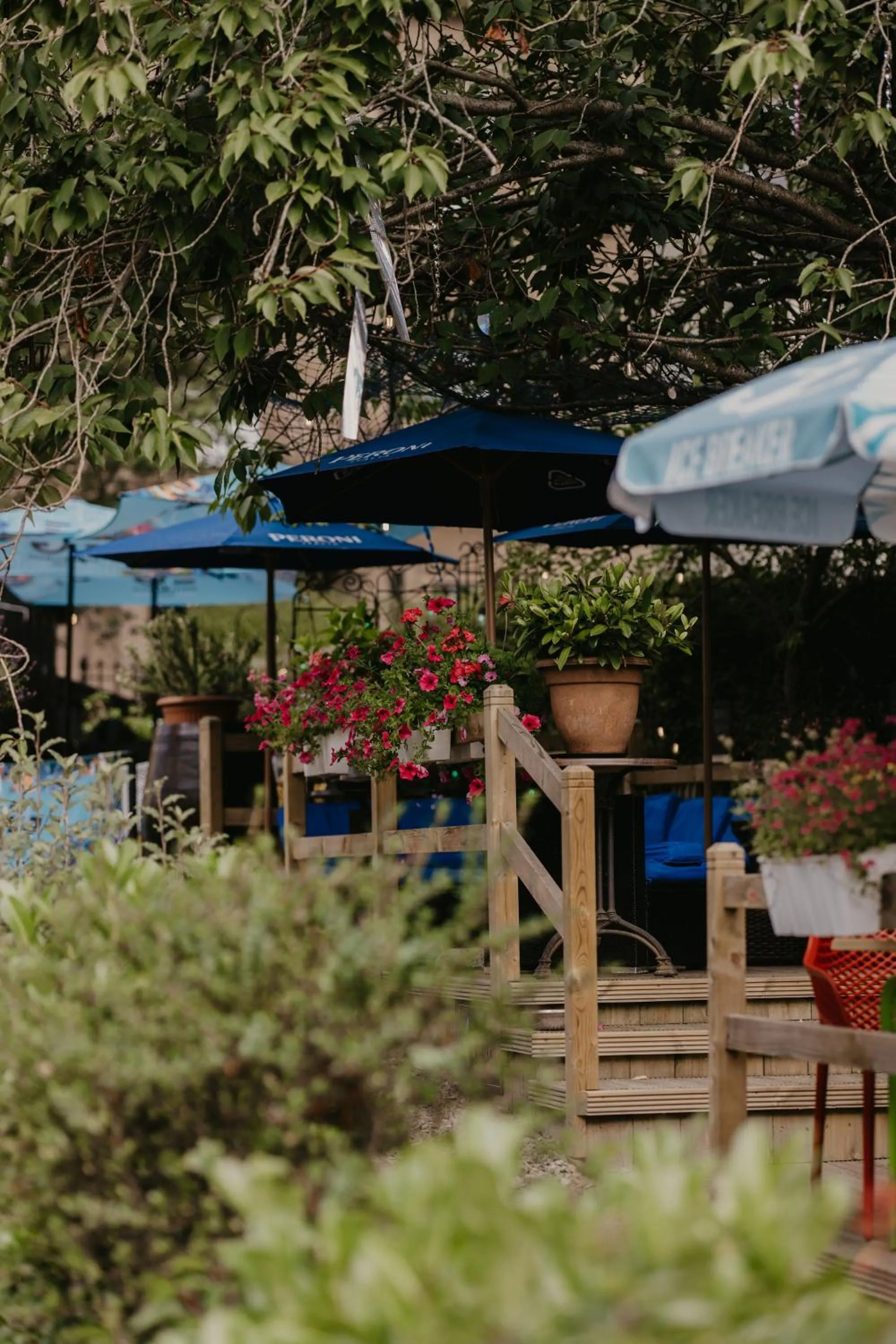 Garden in Atholl Arms Hotel & Residence Dunkeld