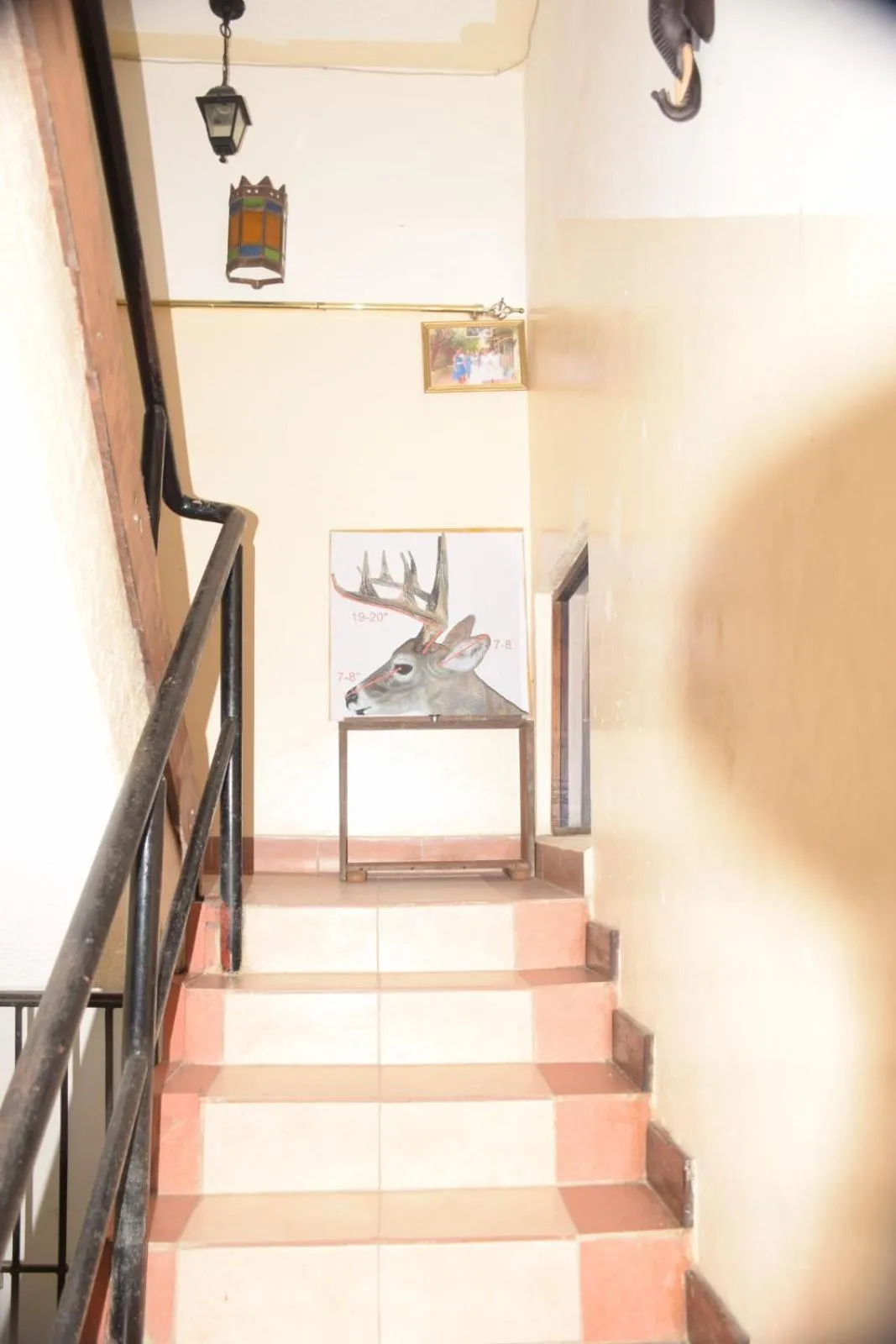 Property building in Cingaki Hotel