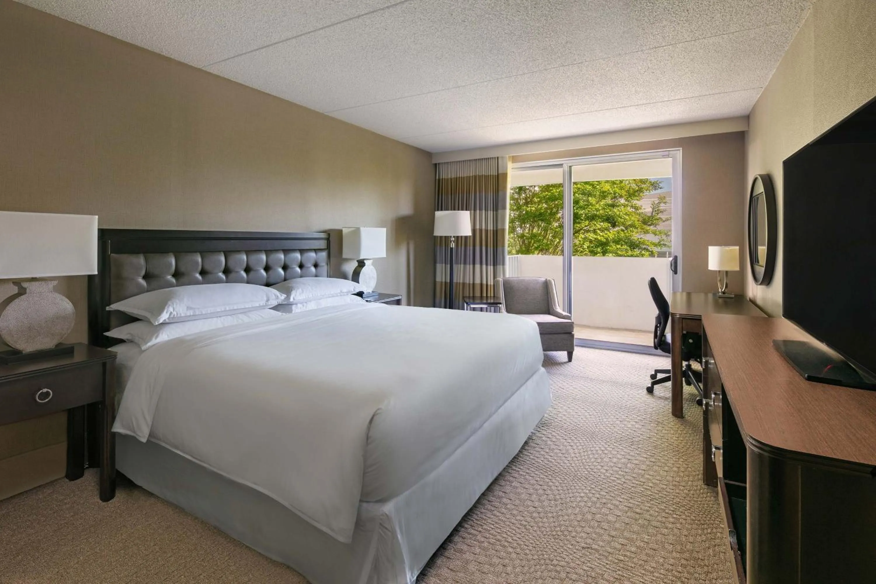 Photo of the whole room, Bed in Sheraton Greensboro