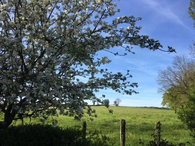 la Grange de Félicie