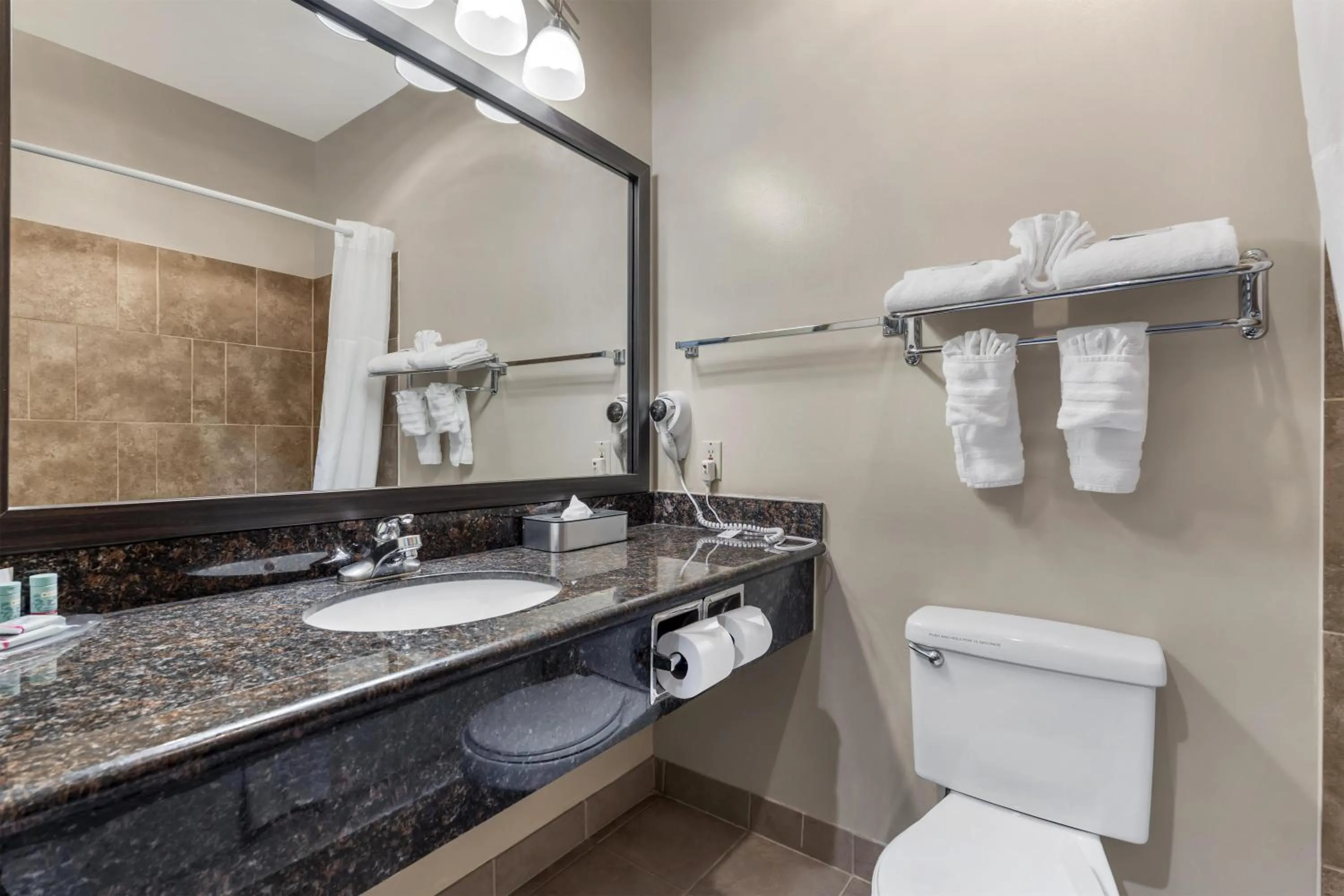 Bathroom in Best Western Sky Valley Inn