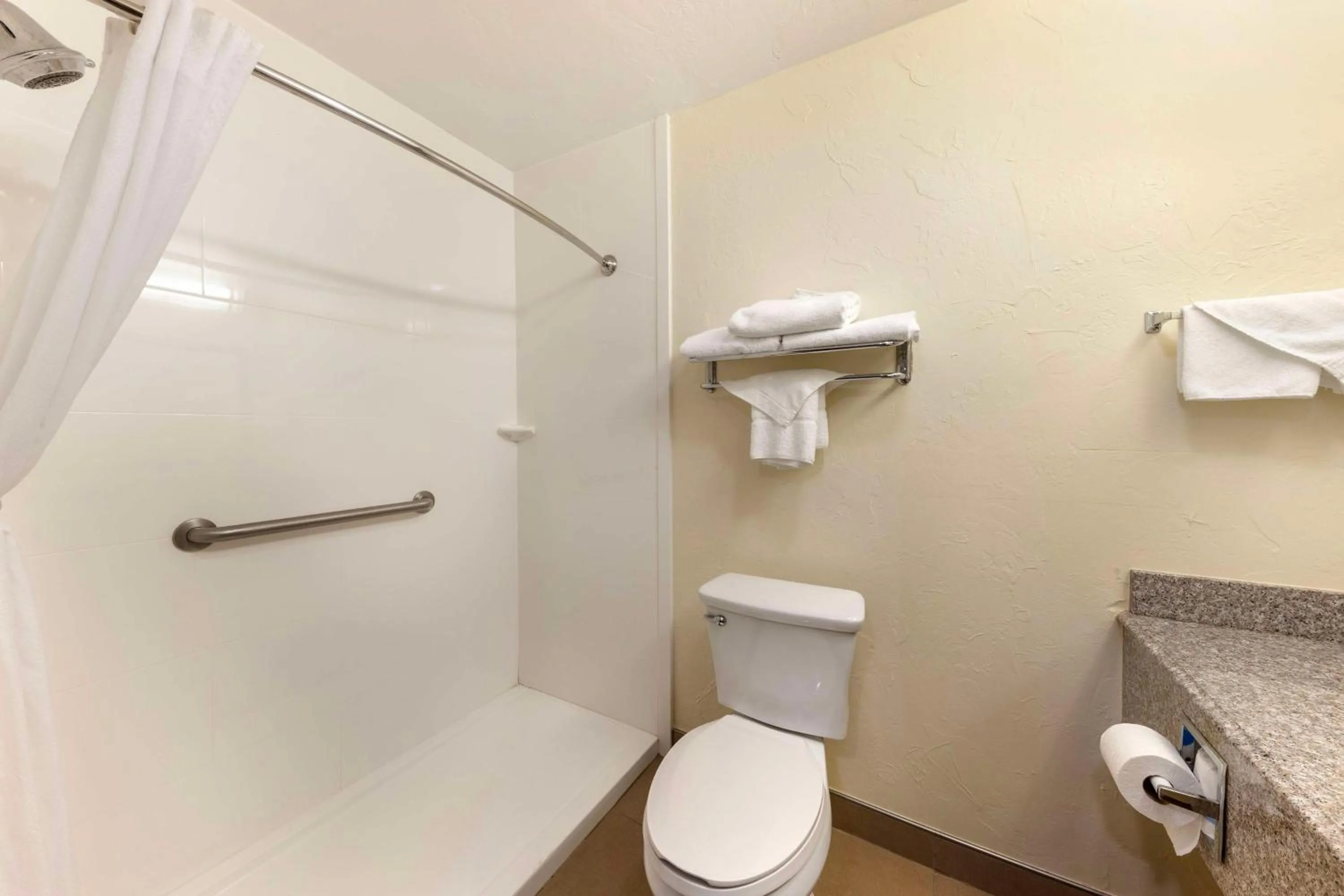 Bathroom in Best Western Greentree Inn & Suites