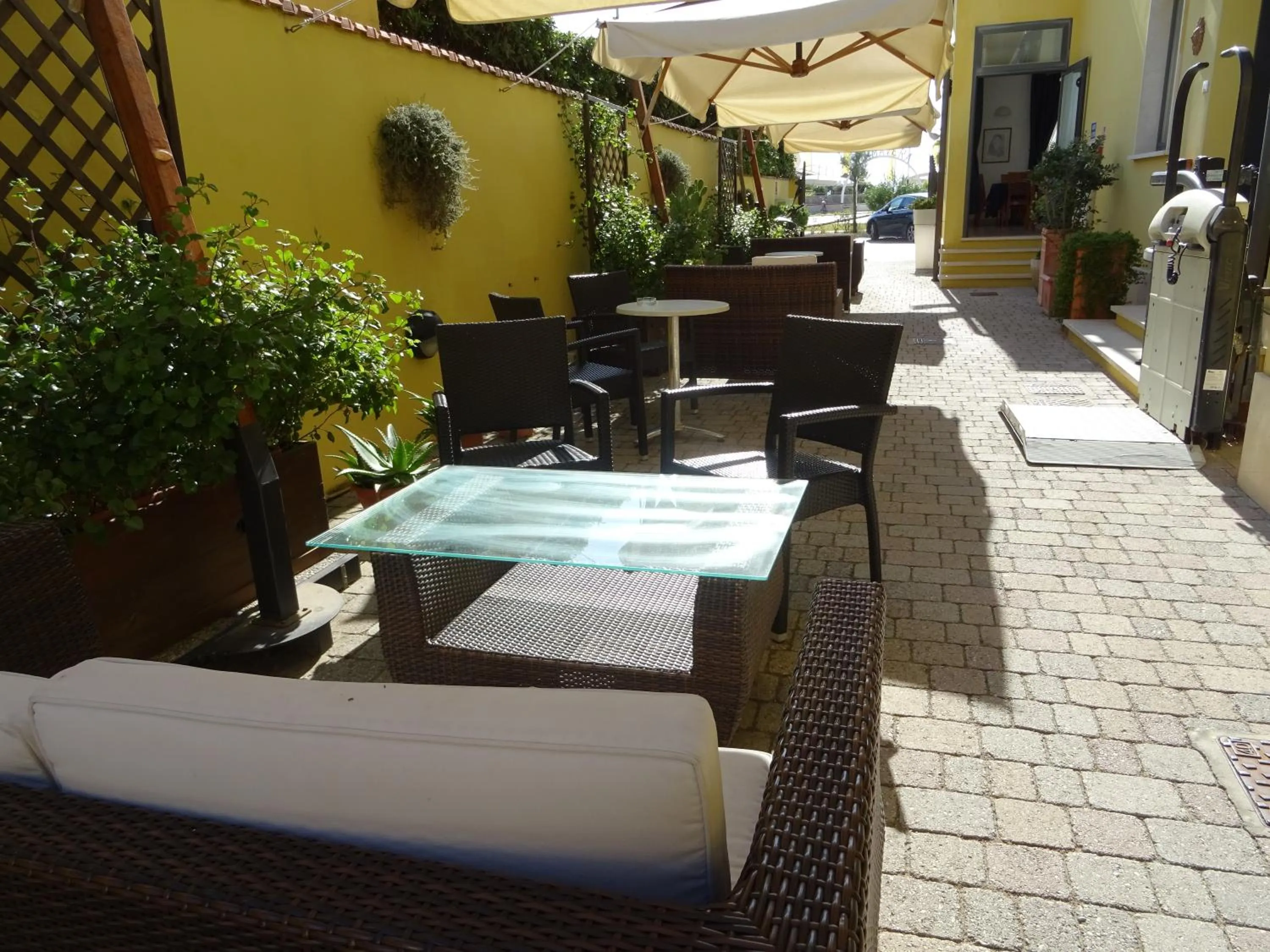 Garden in Hotel Sole E Mare