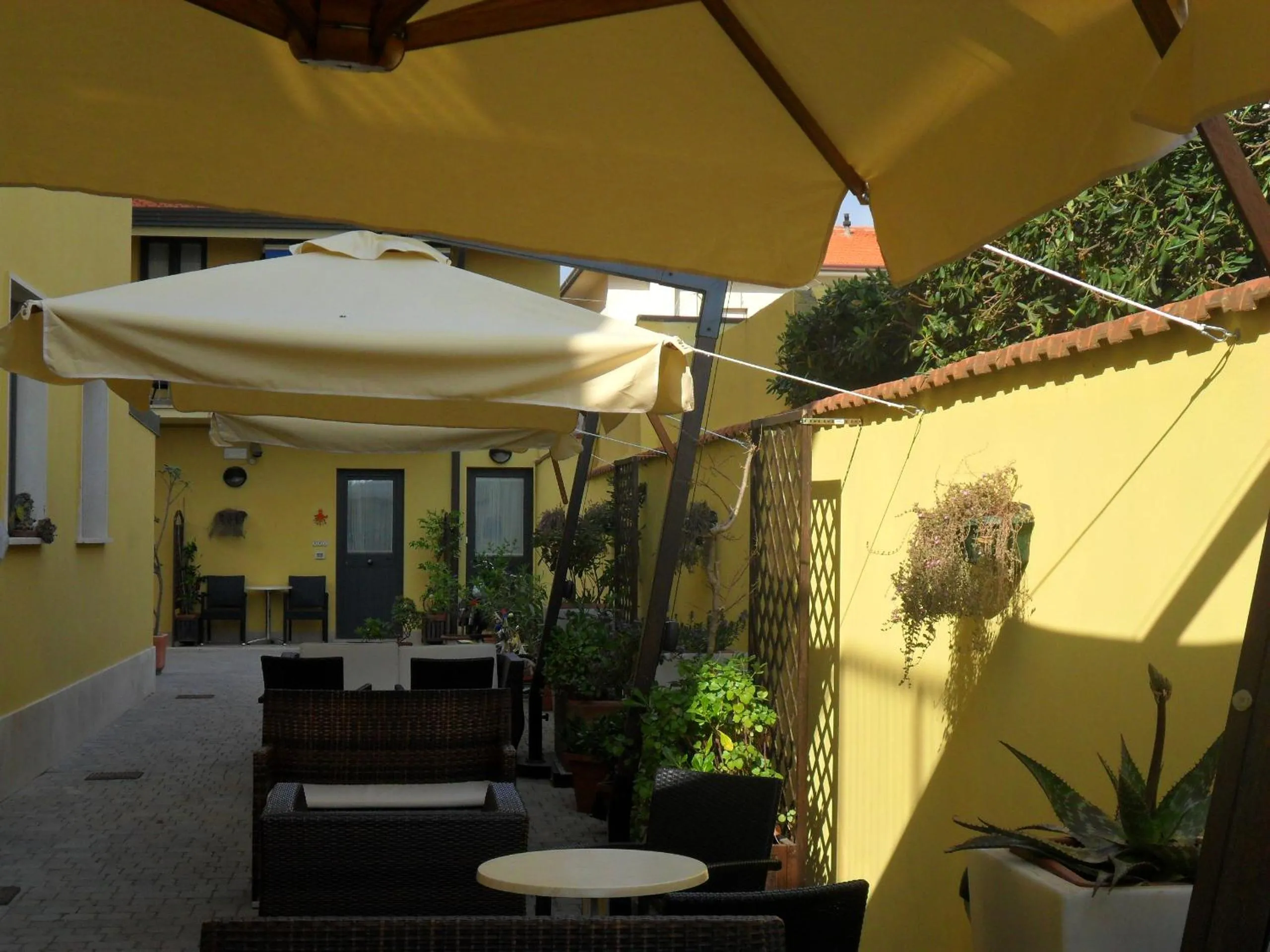 Garden in Hotel Sole E Mare