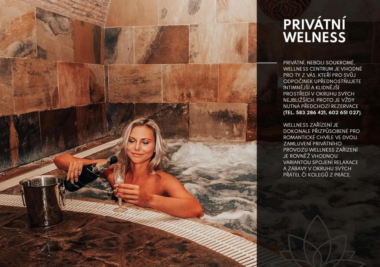 Swimming pool in Kolštejn wellness centrum